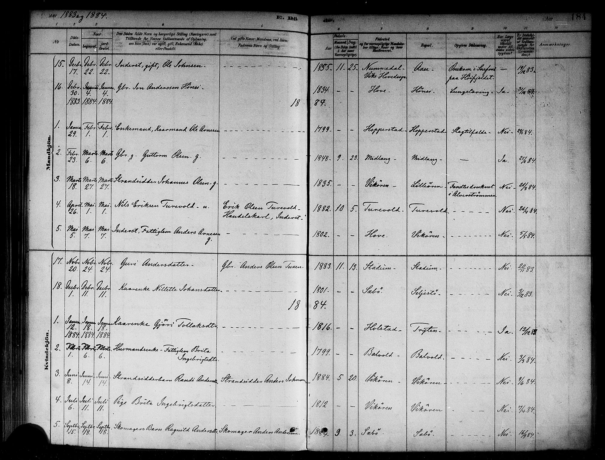 Vik sokneprestembete, SAB/A-81501: Parish register (official) no. B 1, 1878-1890, p. 184