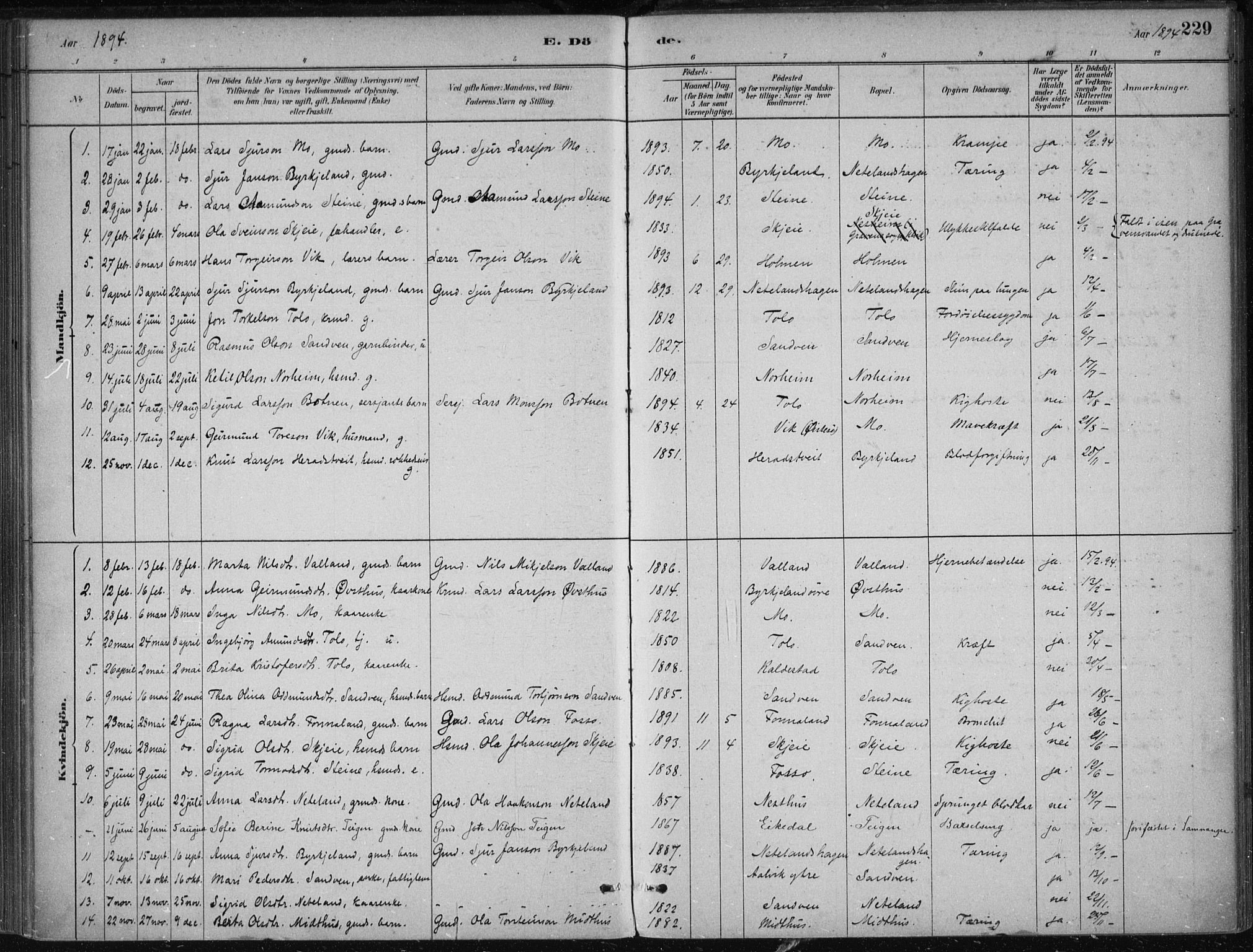 Kvam sokneprestembete, SAB/A-76201/H/Haa: Parish register (official) no. B  1, 1880-1908, p. 229