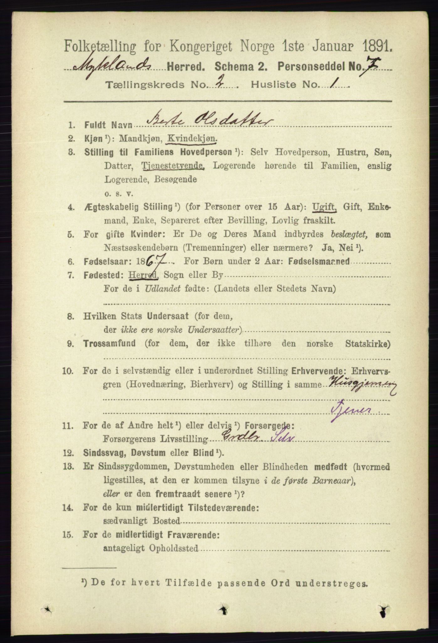 RA, 1891 census for 0932 Mykland, 1891, p. 309