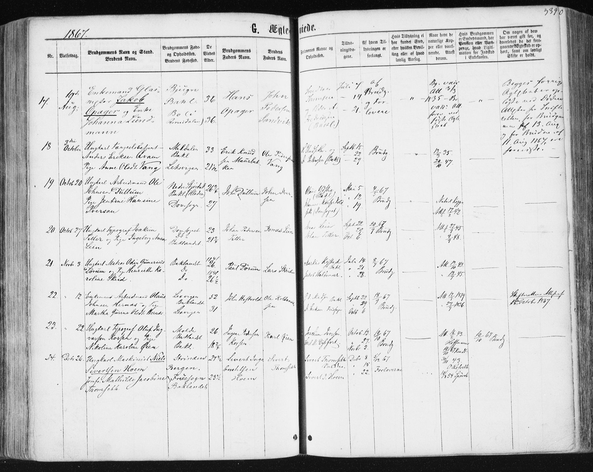 Ministerialprotokoller, klokkerbøker og fødselsregistre - Sør-Trøndelag, AV/SAT-A-1456/604/L0186: Parish register (official) no. 604A07, 1866-1877, p. 339