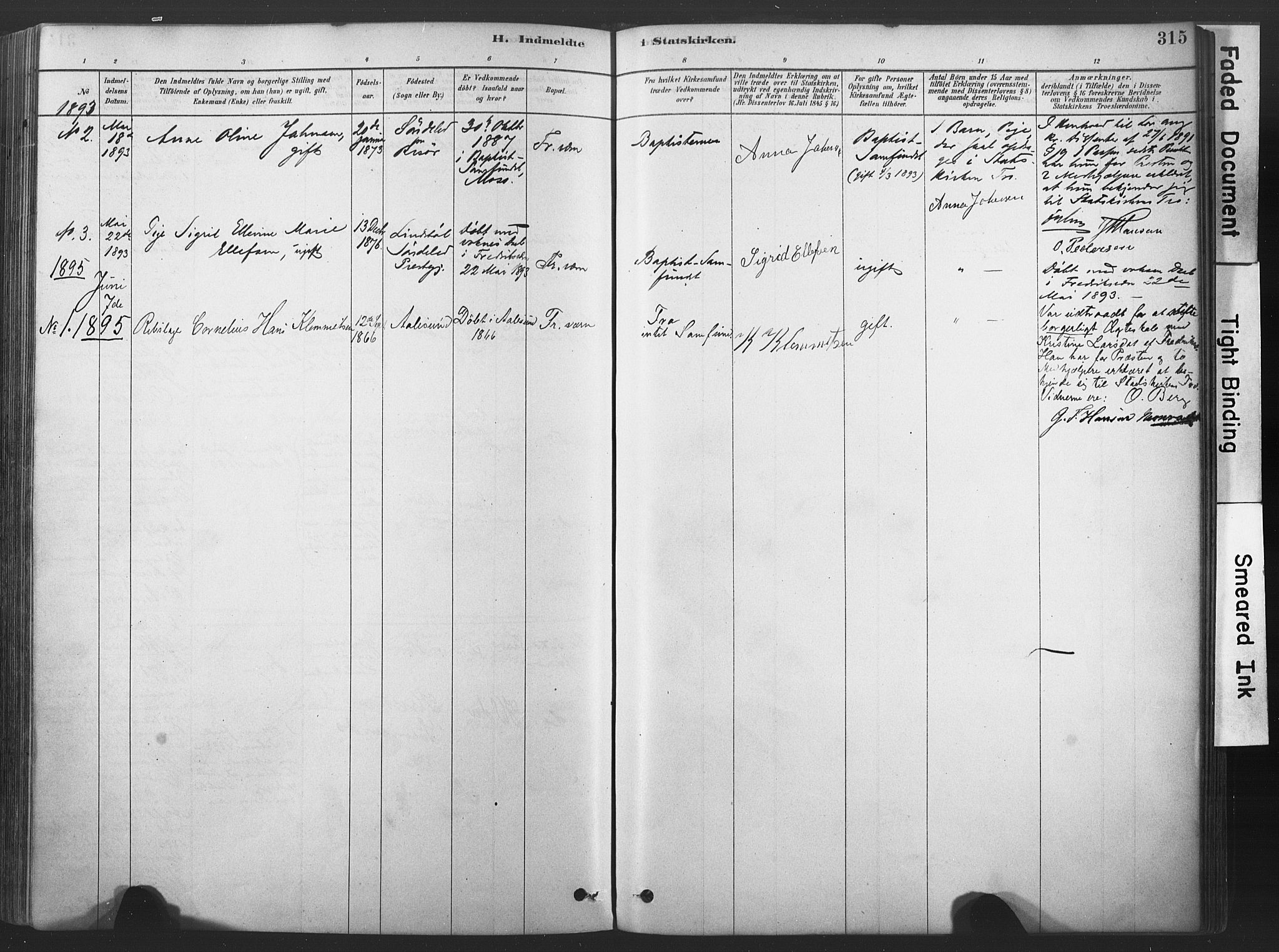 Stavern kirkebøker, AV/SAKO-A-318/F/Fa/L0008: Parish register (official) no. 8, 1878-1905, p. 315