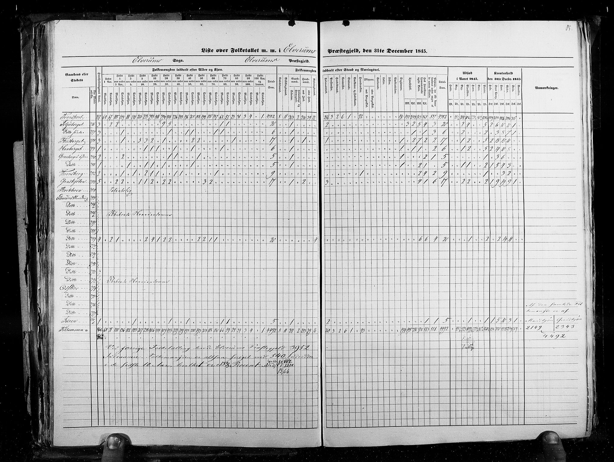 RA, Census 1845, vol. 3: Hedemarken amt og Kristians amt, 1845, p. 85