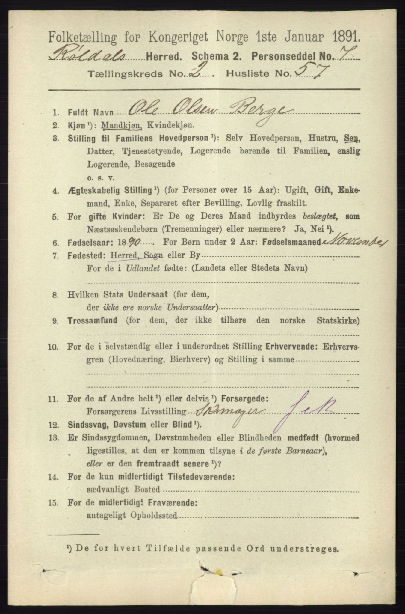 RA, 1891 census for 1229 Røldal, 1891, p. 850