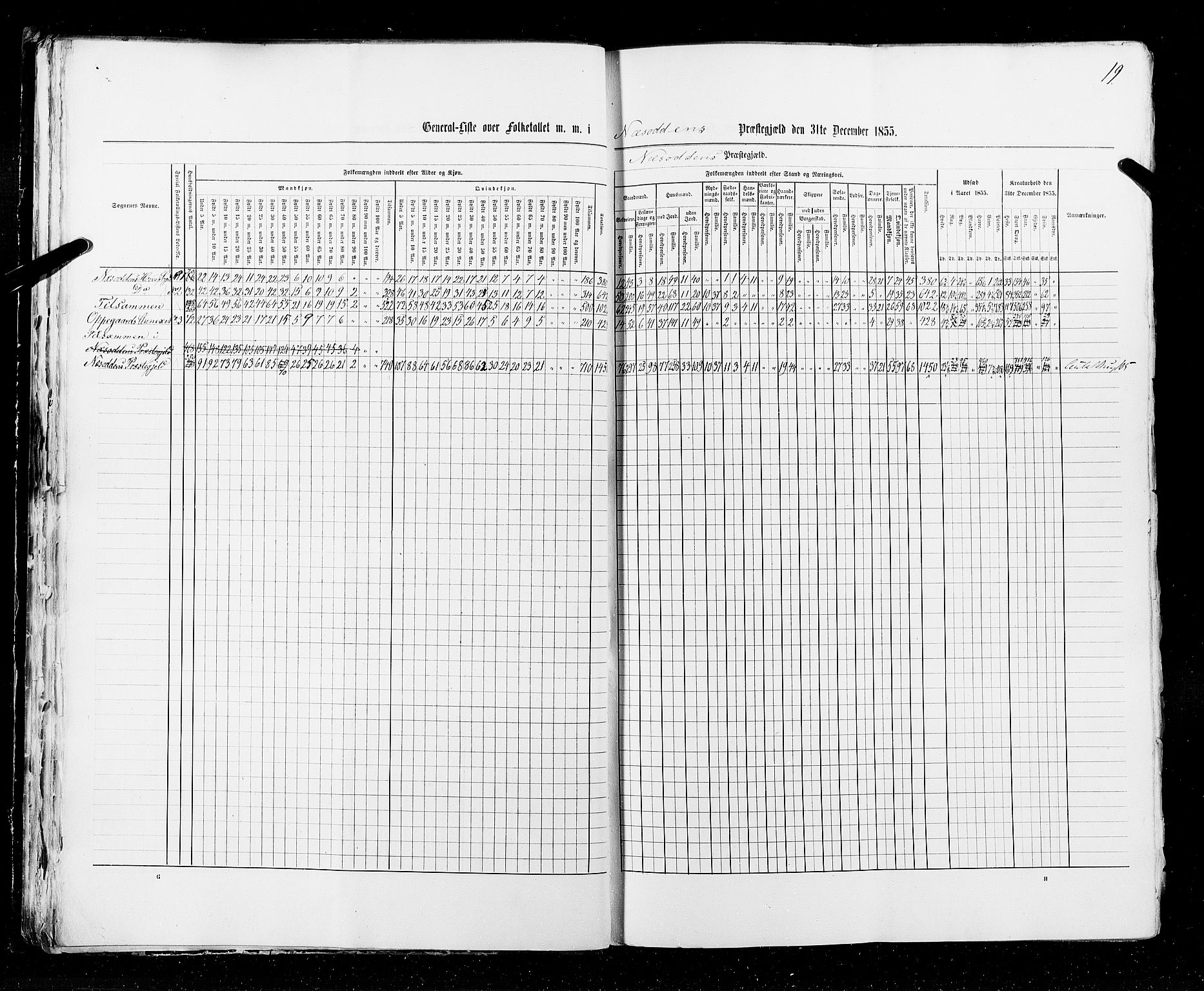 RA, Census 1855, vol. 1: Akershus amt, Smålenenes amt og Hedemarken amt, 1855, p. 19