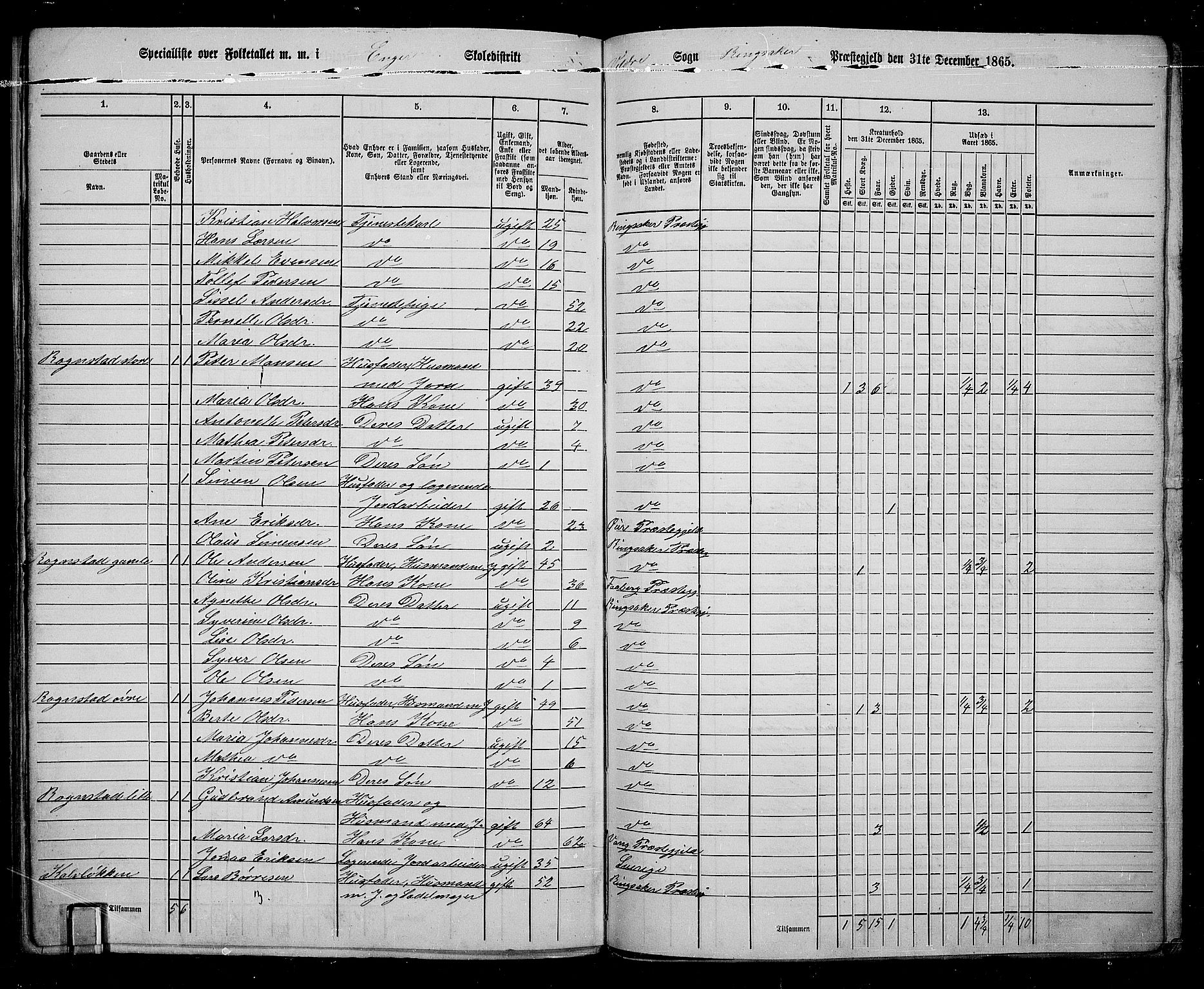 RA, 1865 census for Ringsaker, 1865, p. 235