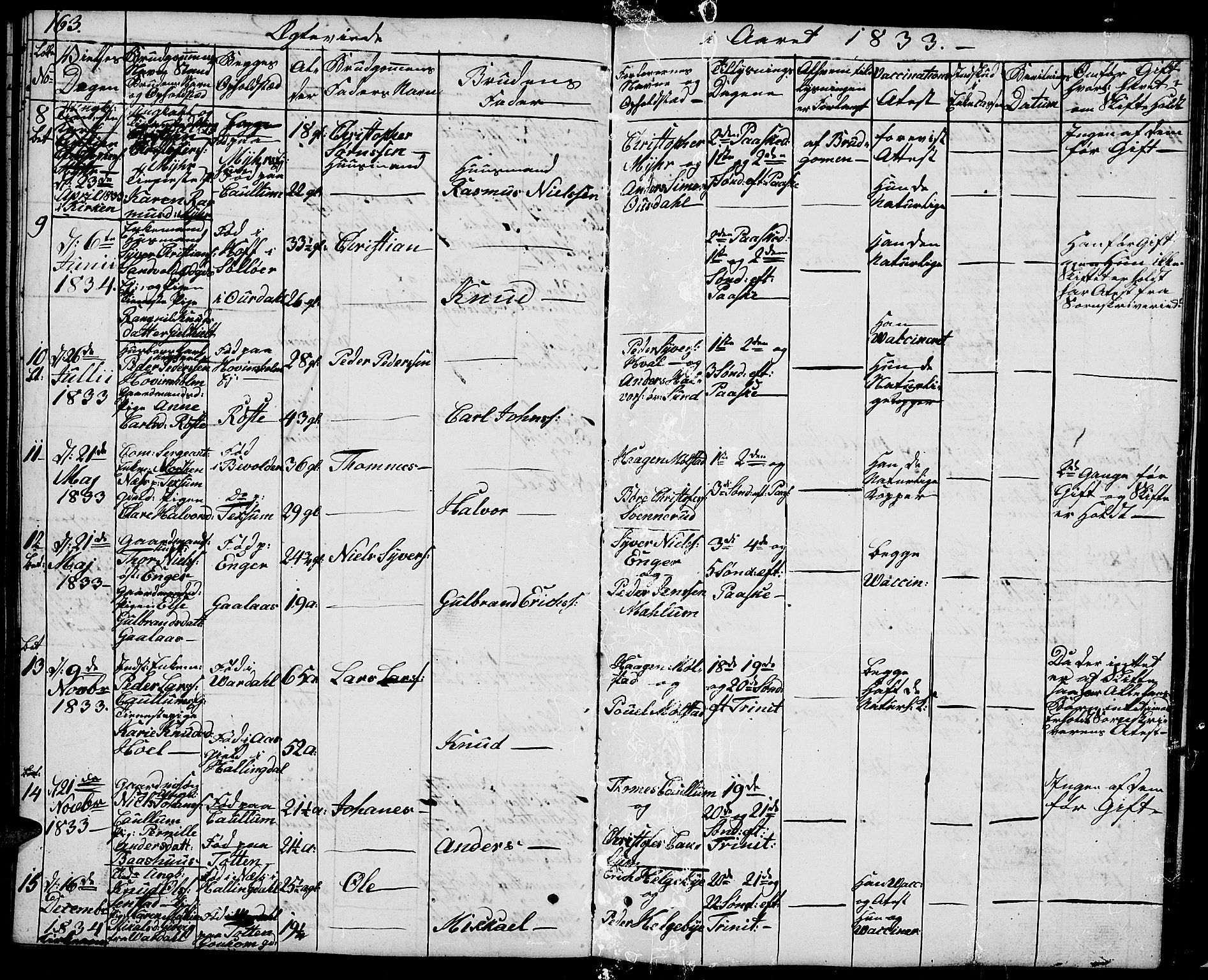 Nes prestekontor, Hedmark, AV/SAH-PREST-020/L/La/L0004: Parish register (copy) no. 4, 1832-1861, p. 163