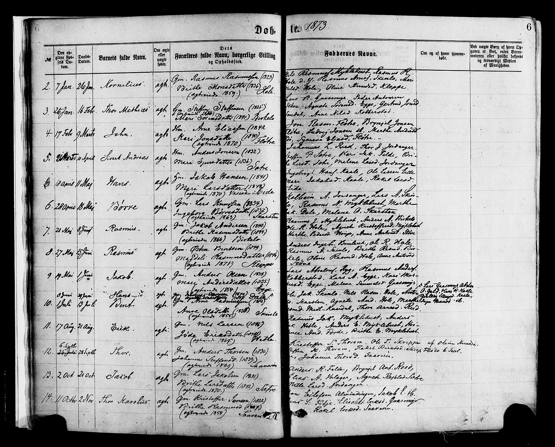 Gloppen sokneprestembete, AV/SAB-A-80101/H/Haa/Haac/L0001: Parish register (official) no. C 1, 1871-1886, p. 6