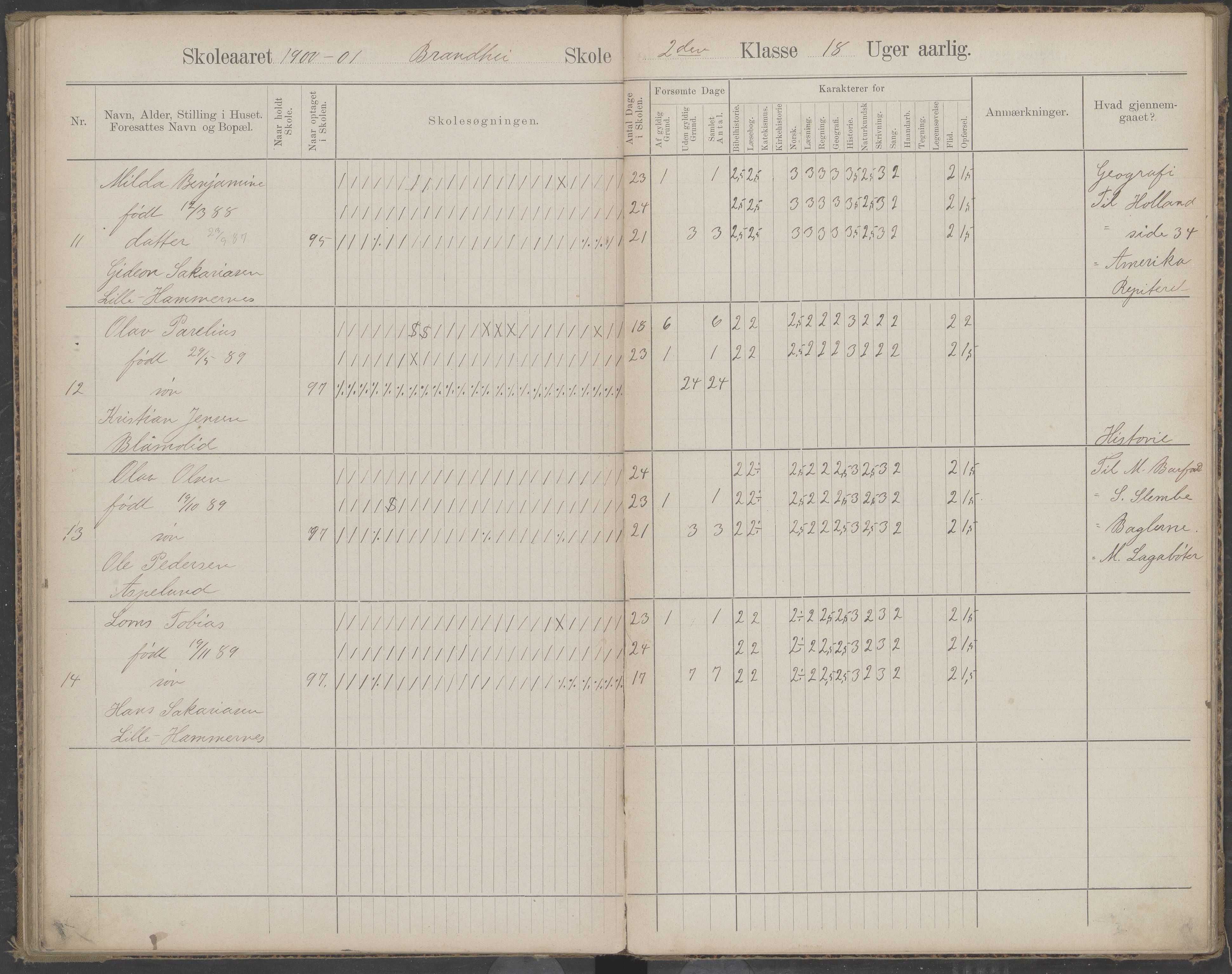 Beiarn kommune. Brandhei skolekrets, AIN/K-18390.510.03/442/L0003: Karakter/oversiktsprotokoll, 1893-1910