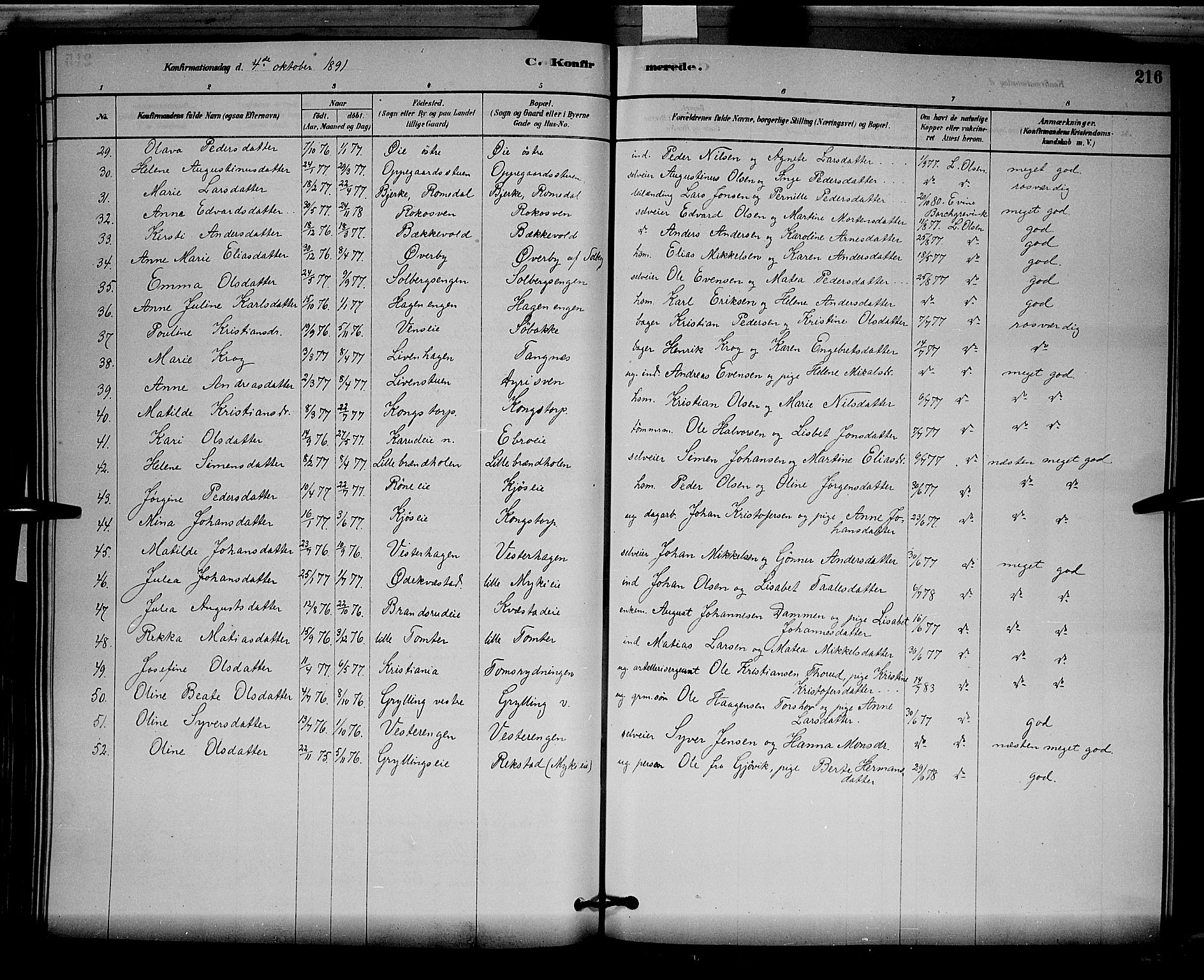 Løten prestekontor, SAH/PREST-022/L/La/L0005: Parish register (copy) no. 5, 1878-1891, p. 216