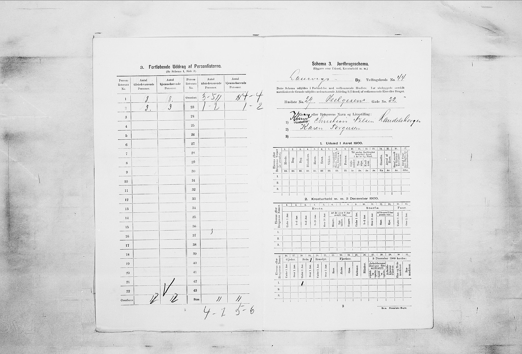 RA, 1900 census for Larvik, 1900, p. 6739