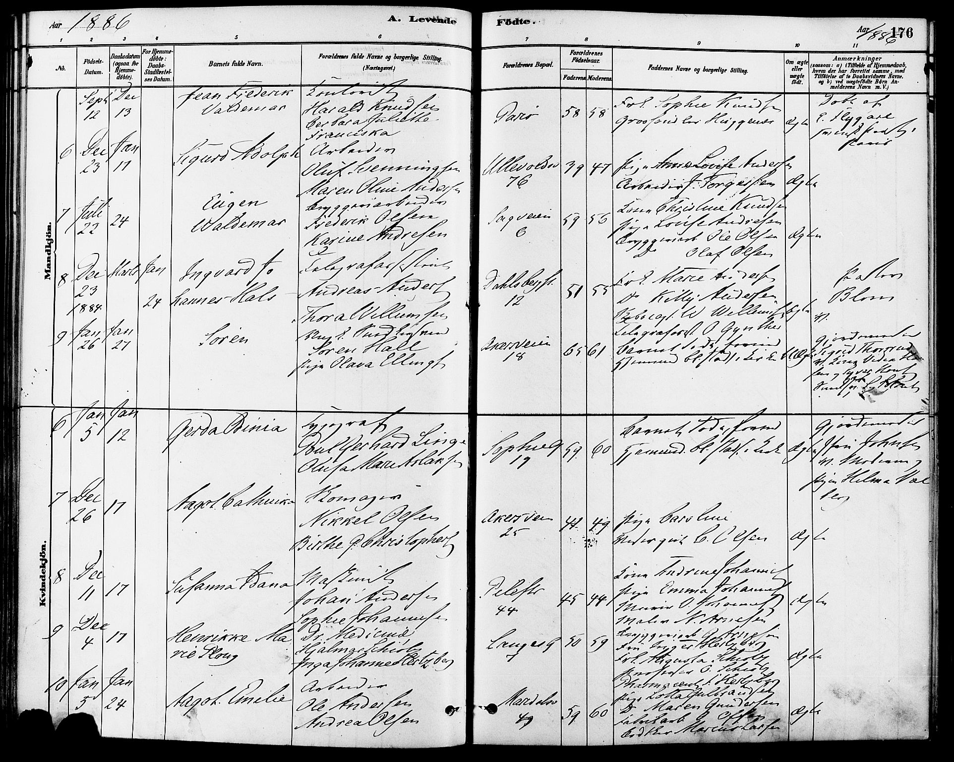 Gamle Aker prestekontor Kirkebøker, AV/SAO-A-10617a/F/L0006: Parish register (official) no. 6, 1880-1887, p. 176