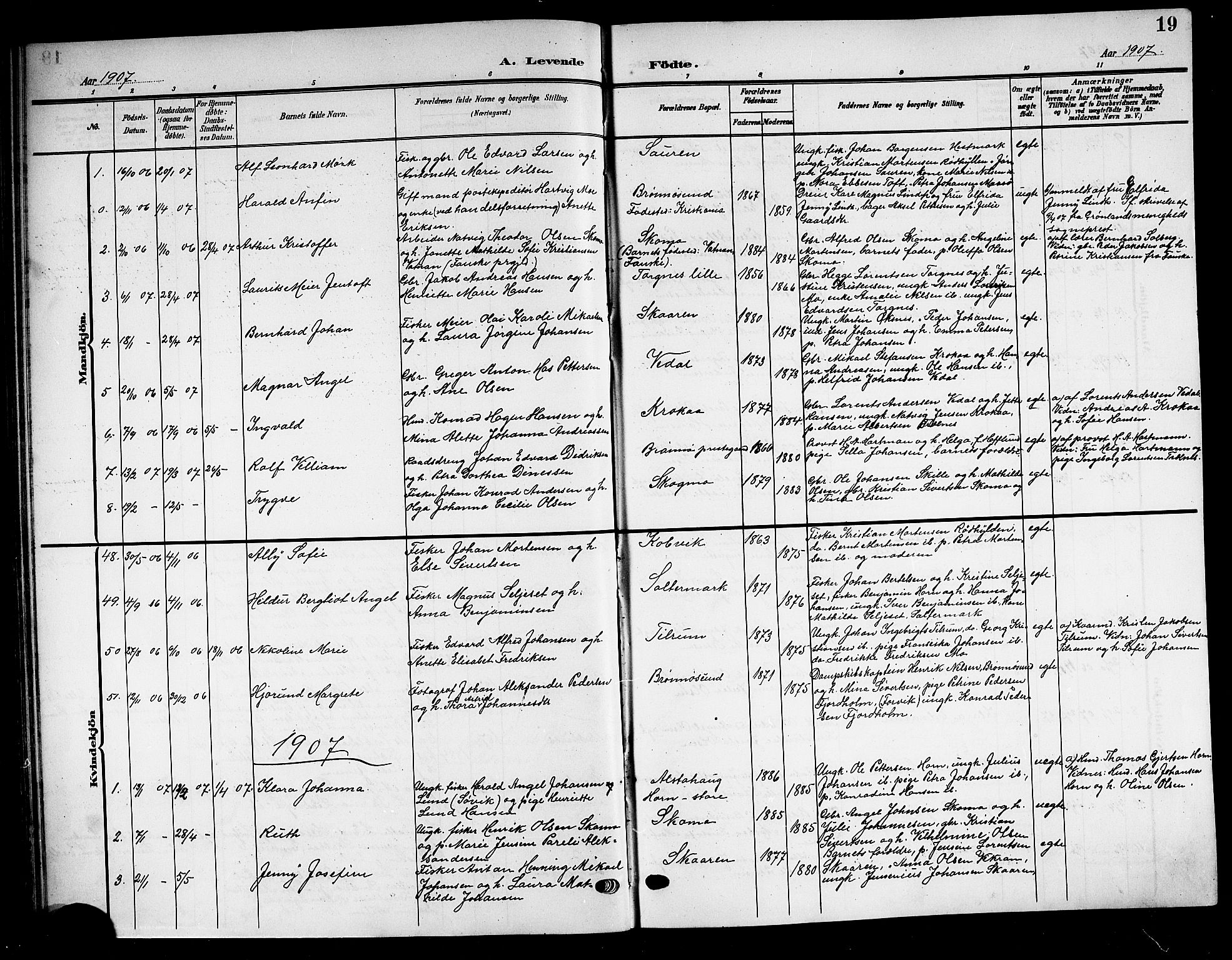 Ministerialprotokoller, klokkerbøker og fødselsregistre - Nordland, SAT/A-1459/813/L0214: Parish register (copy) no. 813C06, 1904-1917, p. 19