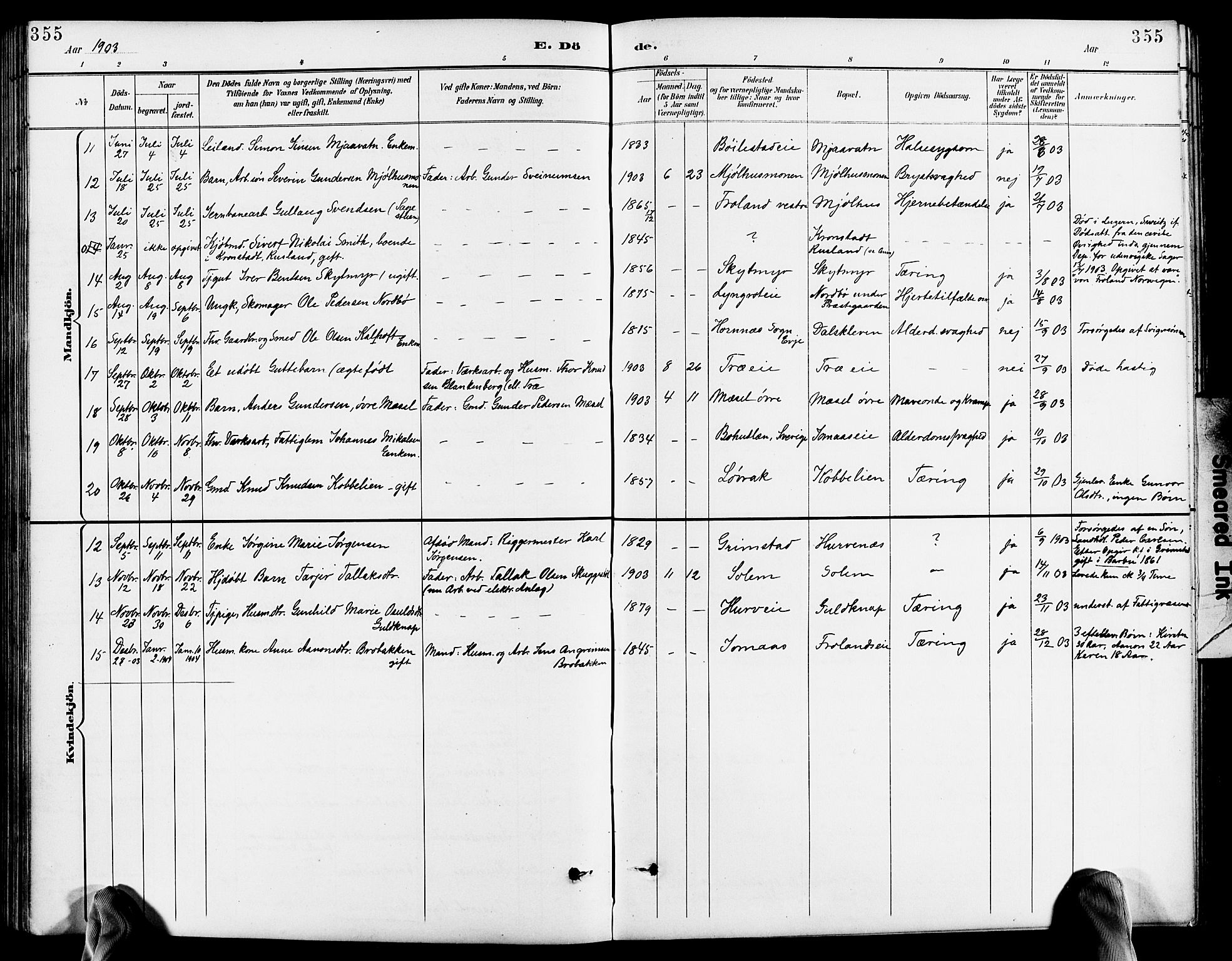 Froland sokneprestkontor, AV/SAK-1111-0013/F/Fb/L0010: Parish register (copy) no. B 10, 1893-1920, p. 355