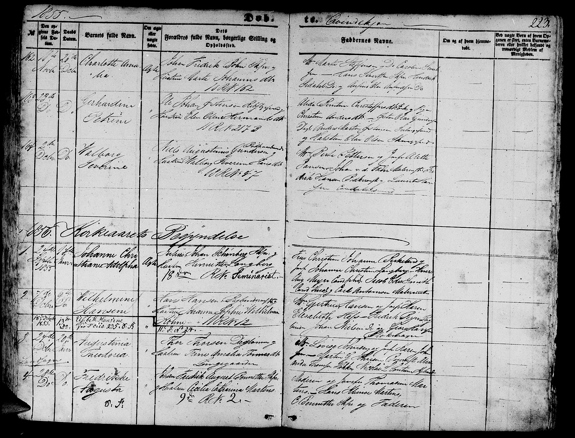 Domkirken sokneprestembete, SAB/A-74801/H/Hab/L0010: Parish register (copy) no. B 3, 1849-1856, p. 223