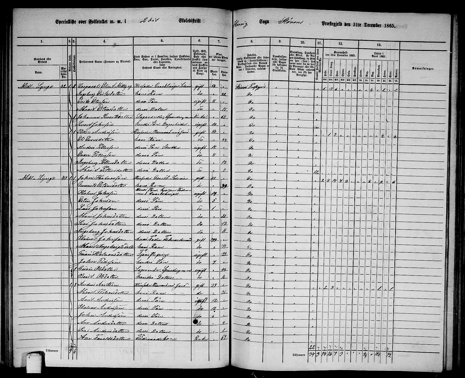 RA, 1865 census for Støren, 1865, p. 140