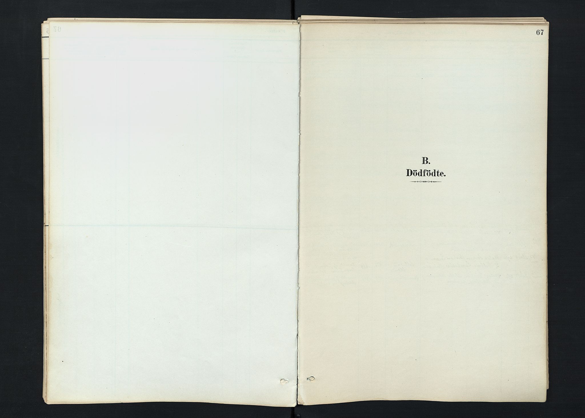 Stokke kirkebøker, SAKO/A-320/F/Fc/L0001: Parish register (official) no. III 1, 1884-1910, p. 67