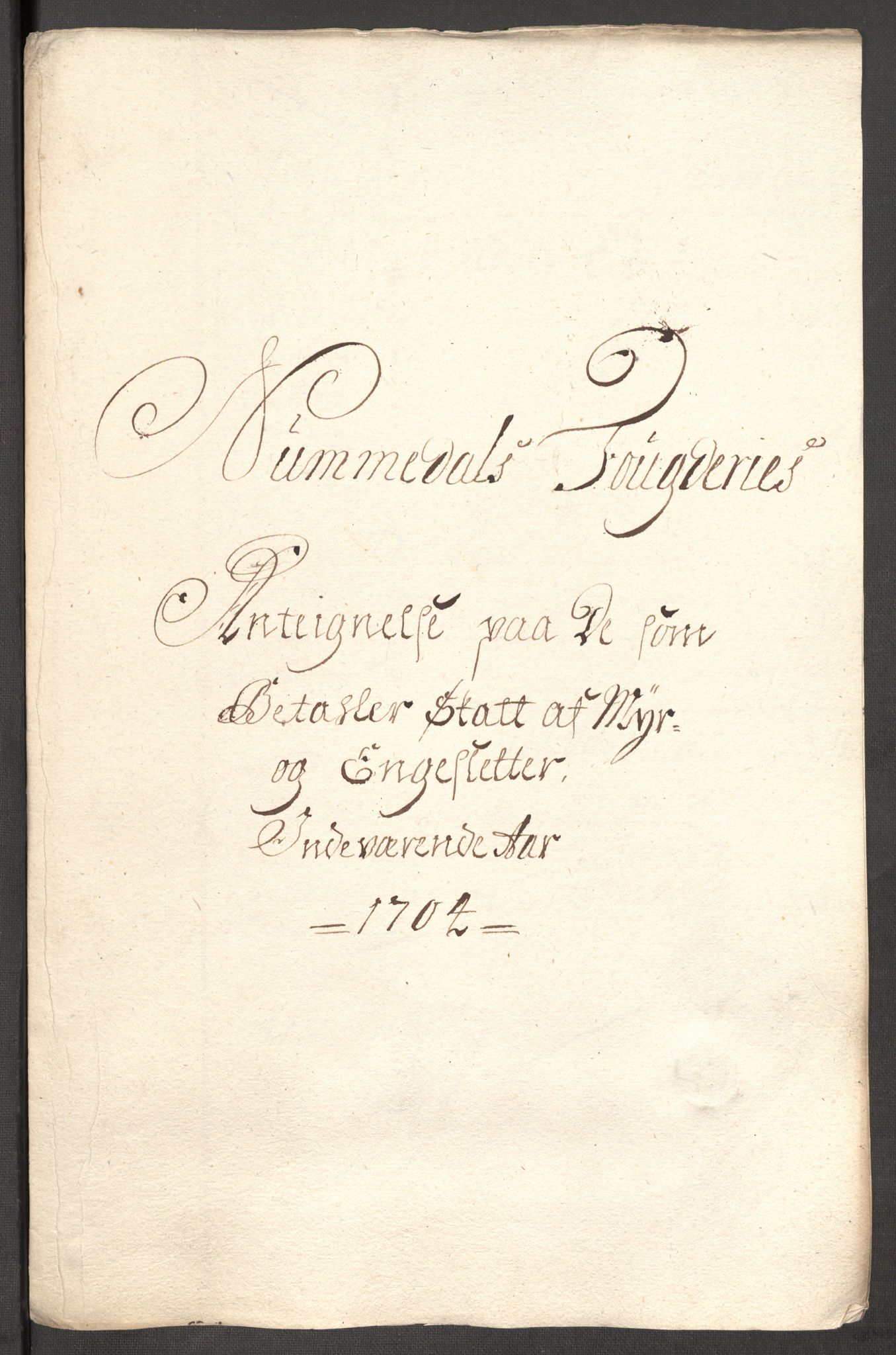 Rentekammeret inntil 1814, Reviderte regnskaper, Fogderegnskap, RA/EA-4092/R64/L4428: Fogderegnskap Namdal, 1703-1704, p. 268