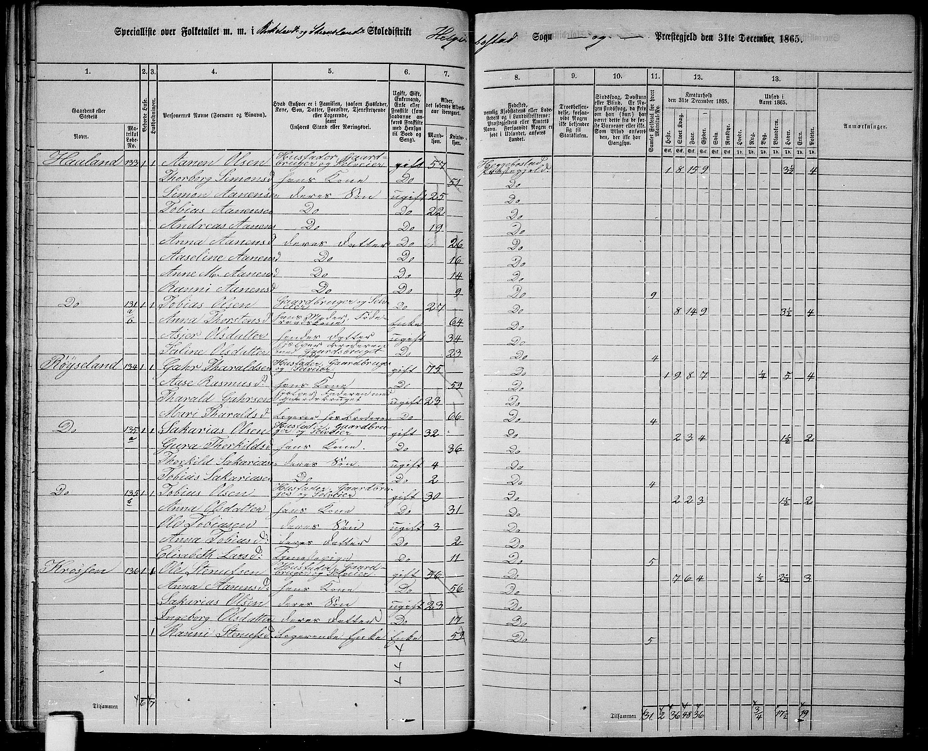 RA, 1865 census for Hægebostad, 1865, p. 34