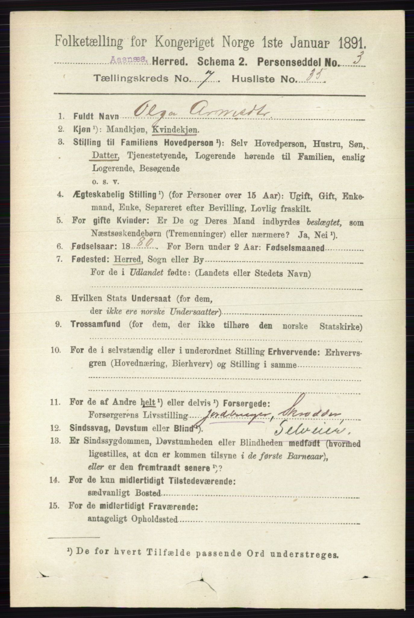 RA, 1891 census for 0425 Åsnes, 1891, p. 3567