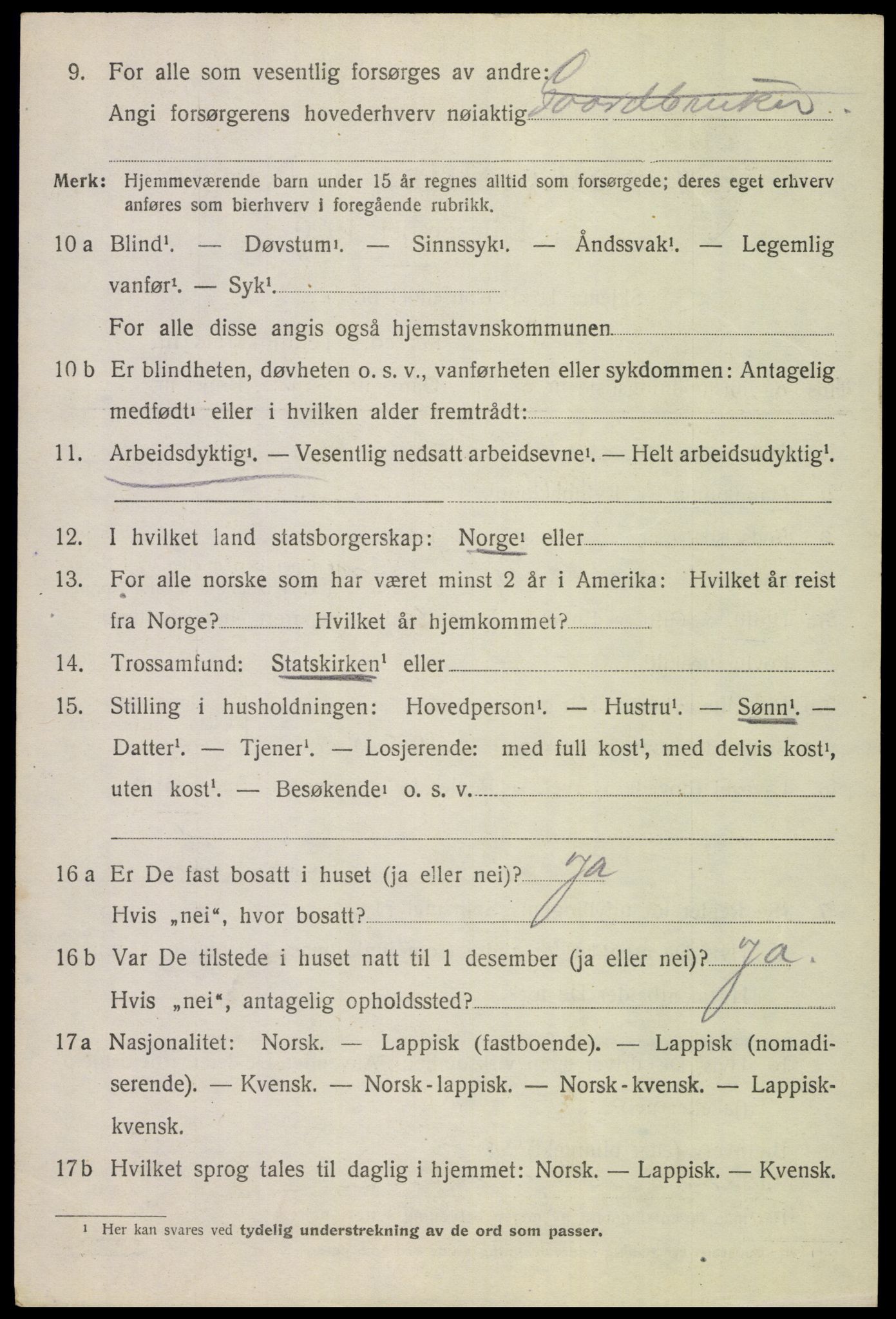 SAT, 1920 census for Tysfjord, 1920, p. 6250