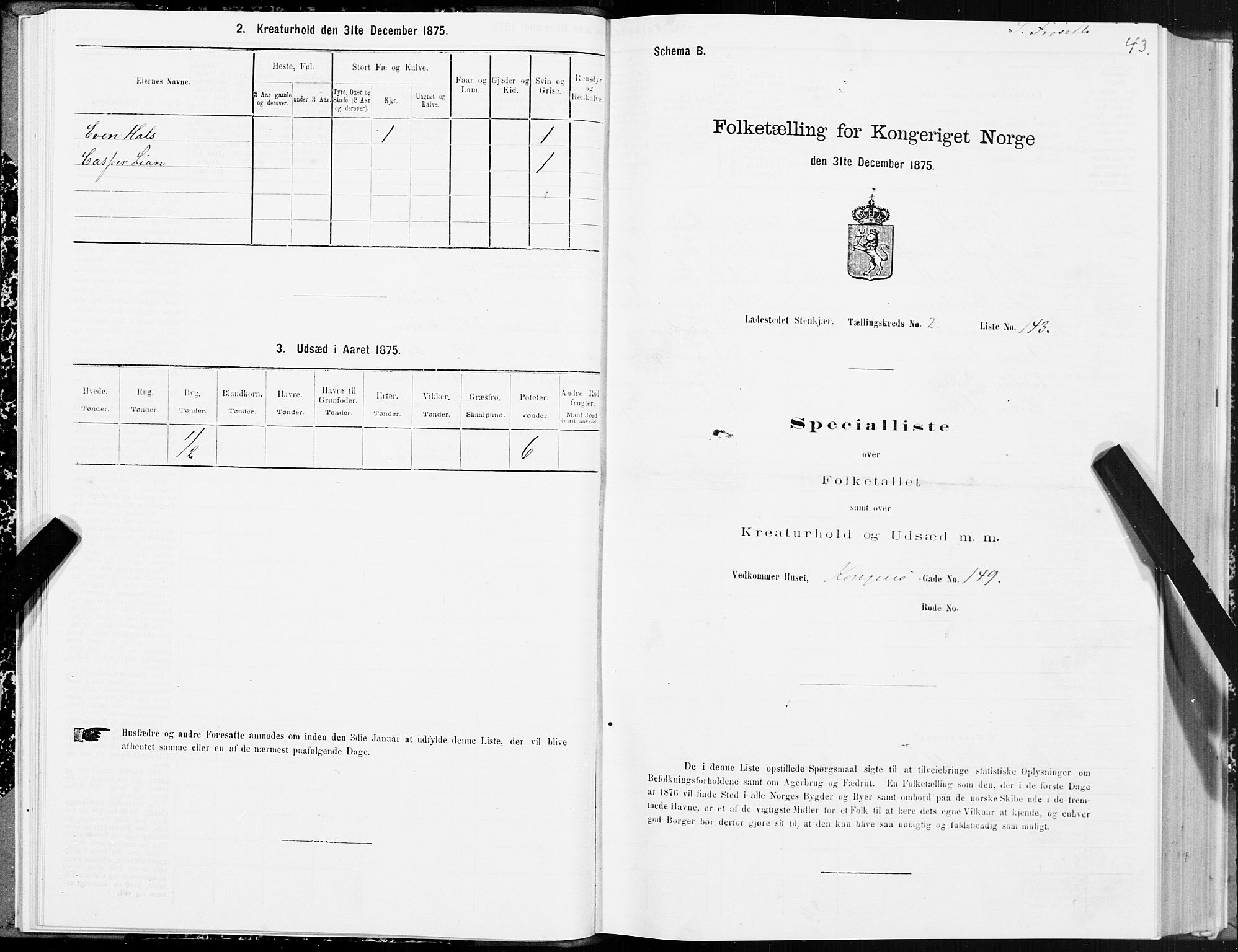 SAT, 1875 census for 1702B Steinkjer/Steinkjer, 1875, p. 43