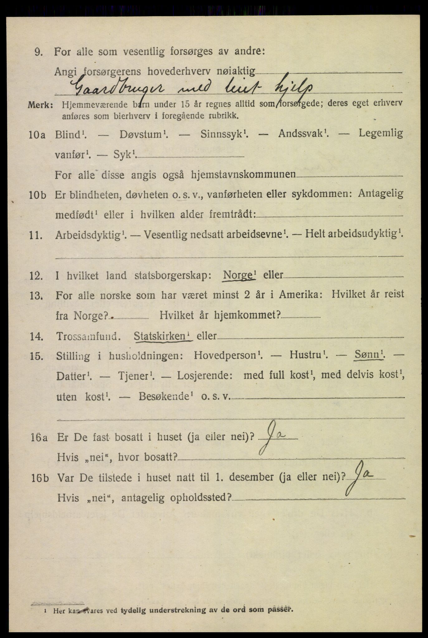 SAH, 1920 census for Lom, 1920, p. 5641