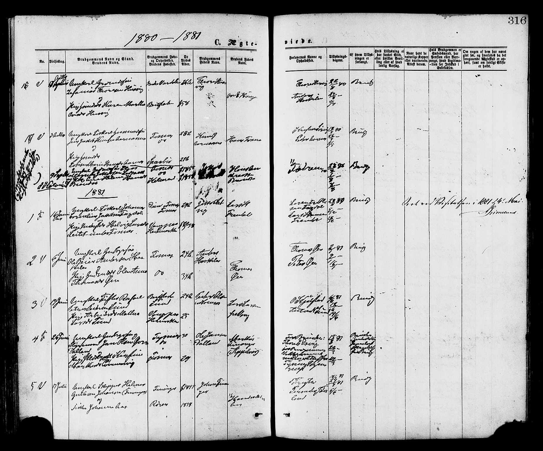 Ministerialprotokoller, klokkerbøker og fødselsregistre - Nord-Trøndelag, SAT/A-1458/773/L0616: Parish register (official) no. 773A07, 1870-1887, p. 316