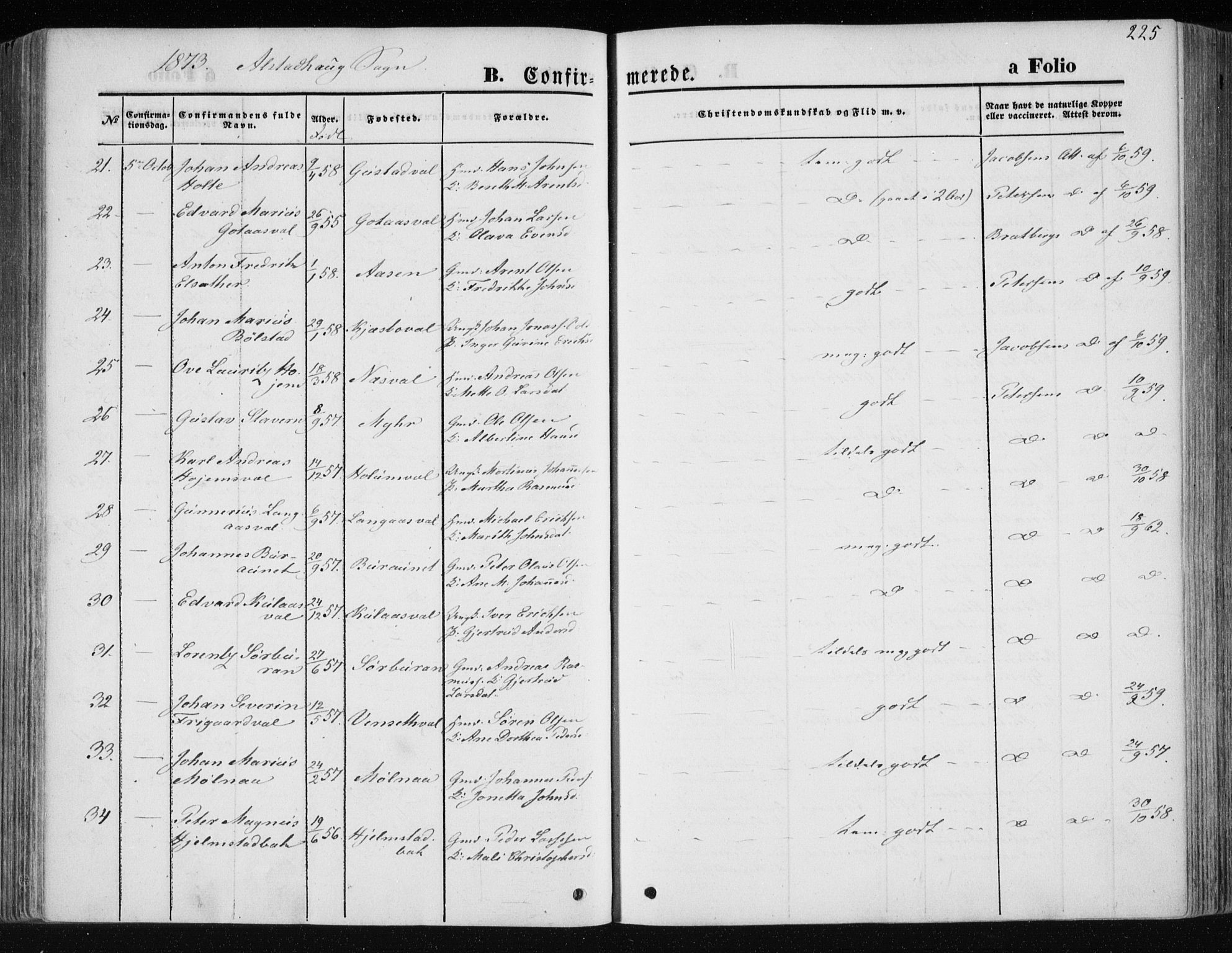 Ministerialprotokoller, klokkerbøker og fødselsregistre - Nord-Trøndelag, SAT/A-1458/717/L0157: Parish register (official) no. 717A08 /1, 1863-1877, p. 225