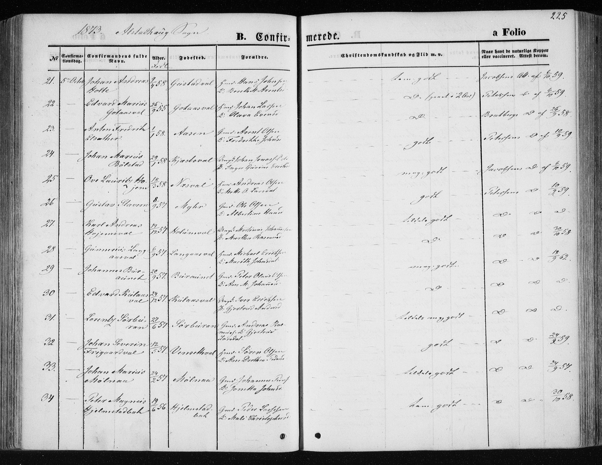 Ministerialprotokoller, klokkerbøker og fødselsregistre - Nord-Trøndelag, AV/SAT-A-1458/717/L0157: Parish register (official) no. 717A08 /1, 1863-1877, p. 225