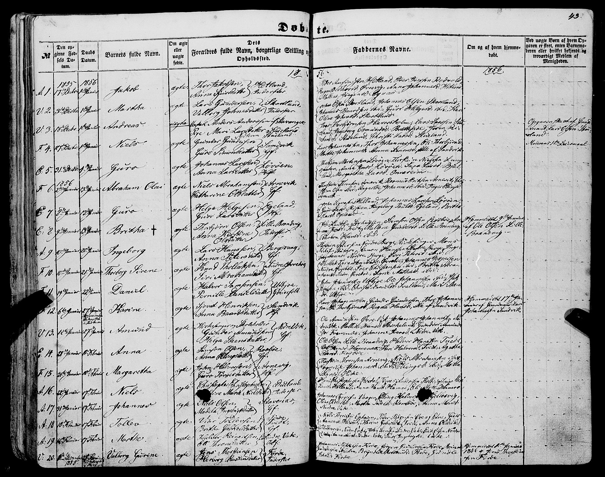 Fjelberg sokneprestembete, SAB/A-75201/H/Haa: Parish register (official) no. A 7, 1851-1867, p. 43