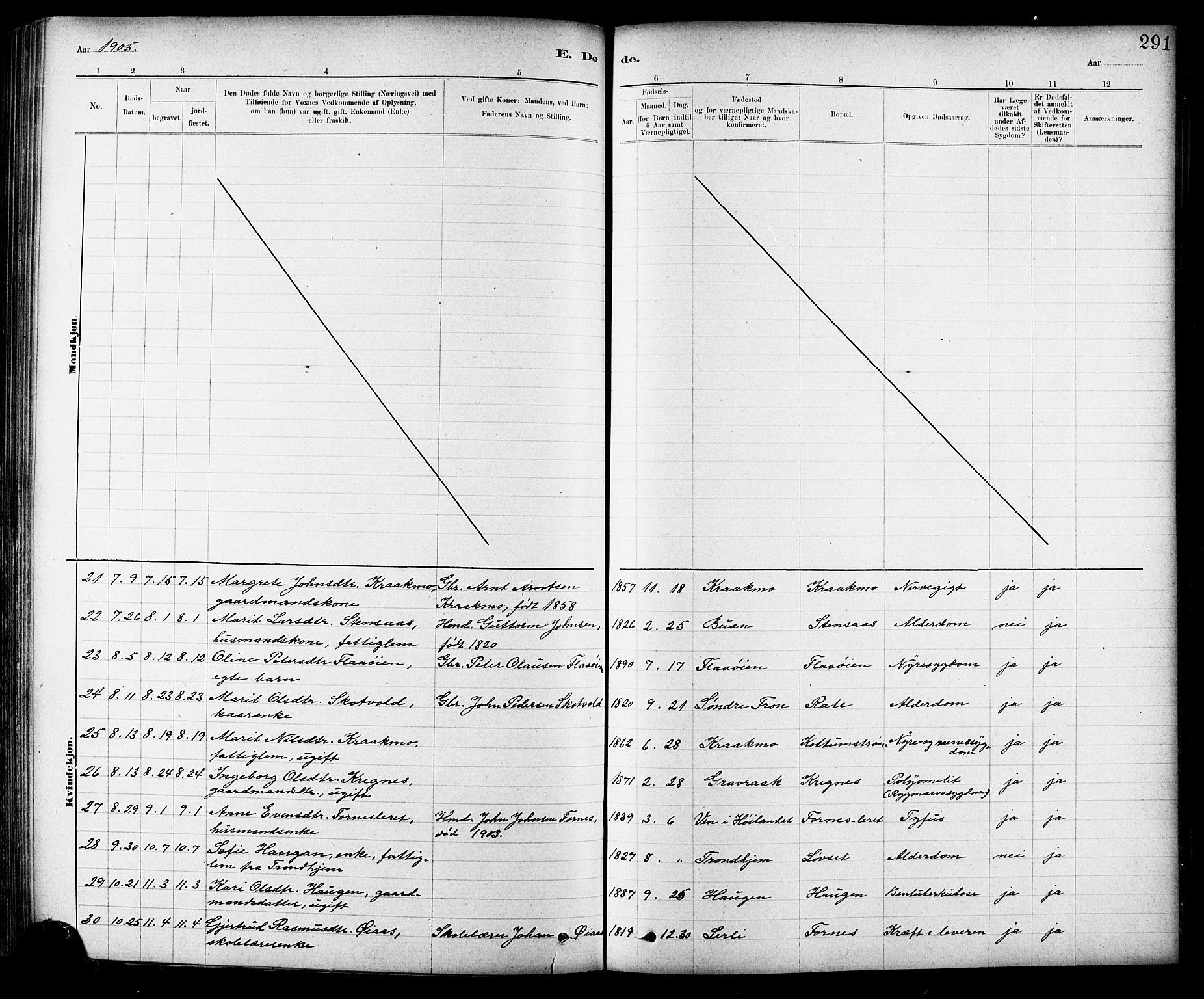 Ministerialprotokoller, klokkerbøker og fødselsregistre - Sør-Trøndelag, SAT/A-1456/691/L1094: Parish register (copy) no. 691C05, 1879-1911, p. 291
