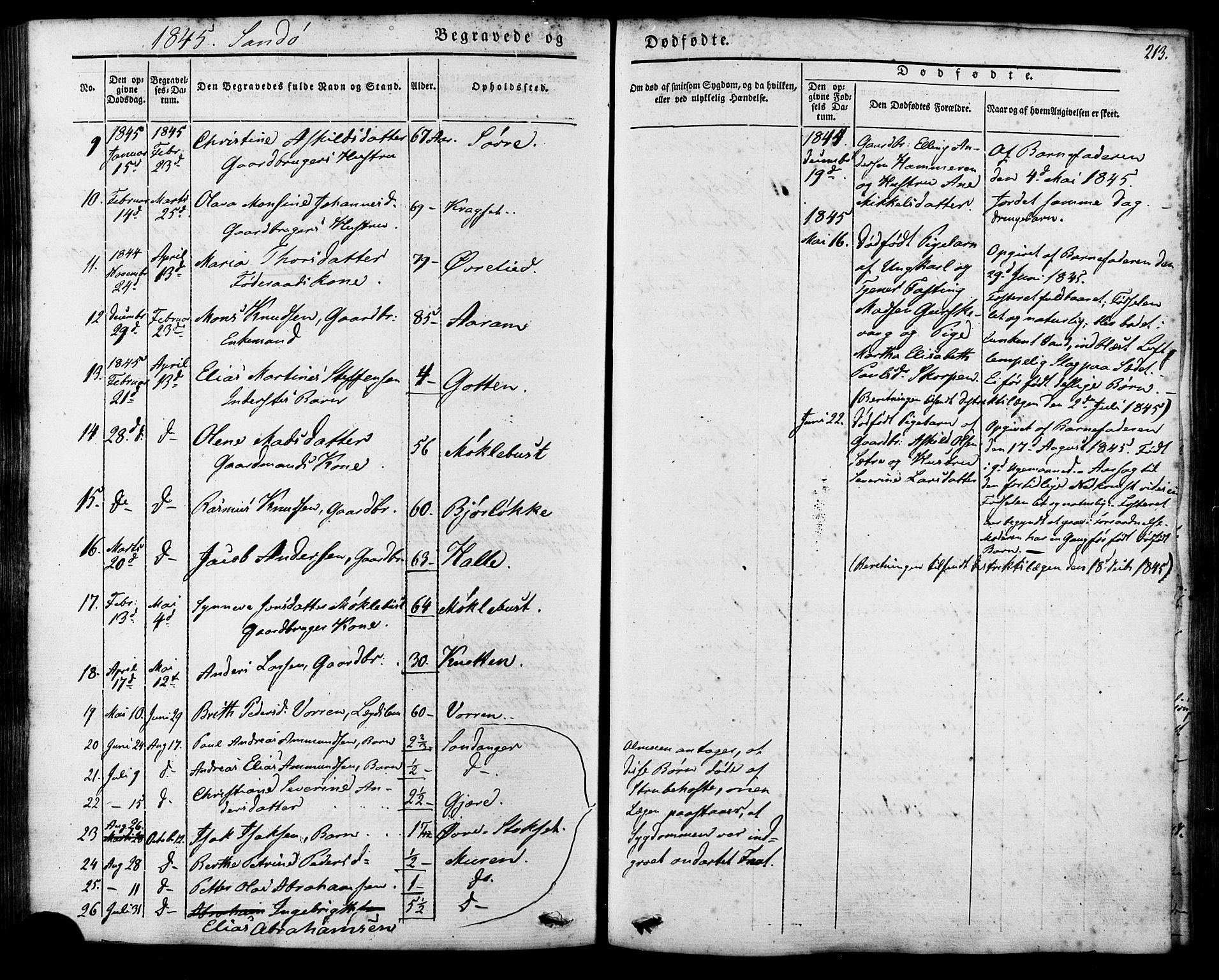 Ministerialprotokoller, klokkerbøker og fødselsregistre - Møre og Romsdal, AV/SAT-A-1454/503/L0034: Parish register (official) no. 503A02, 1841-1884, p. 213