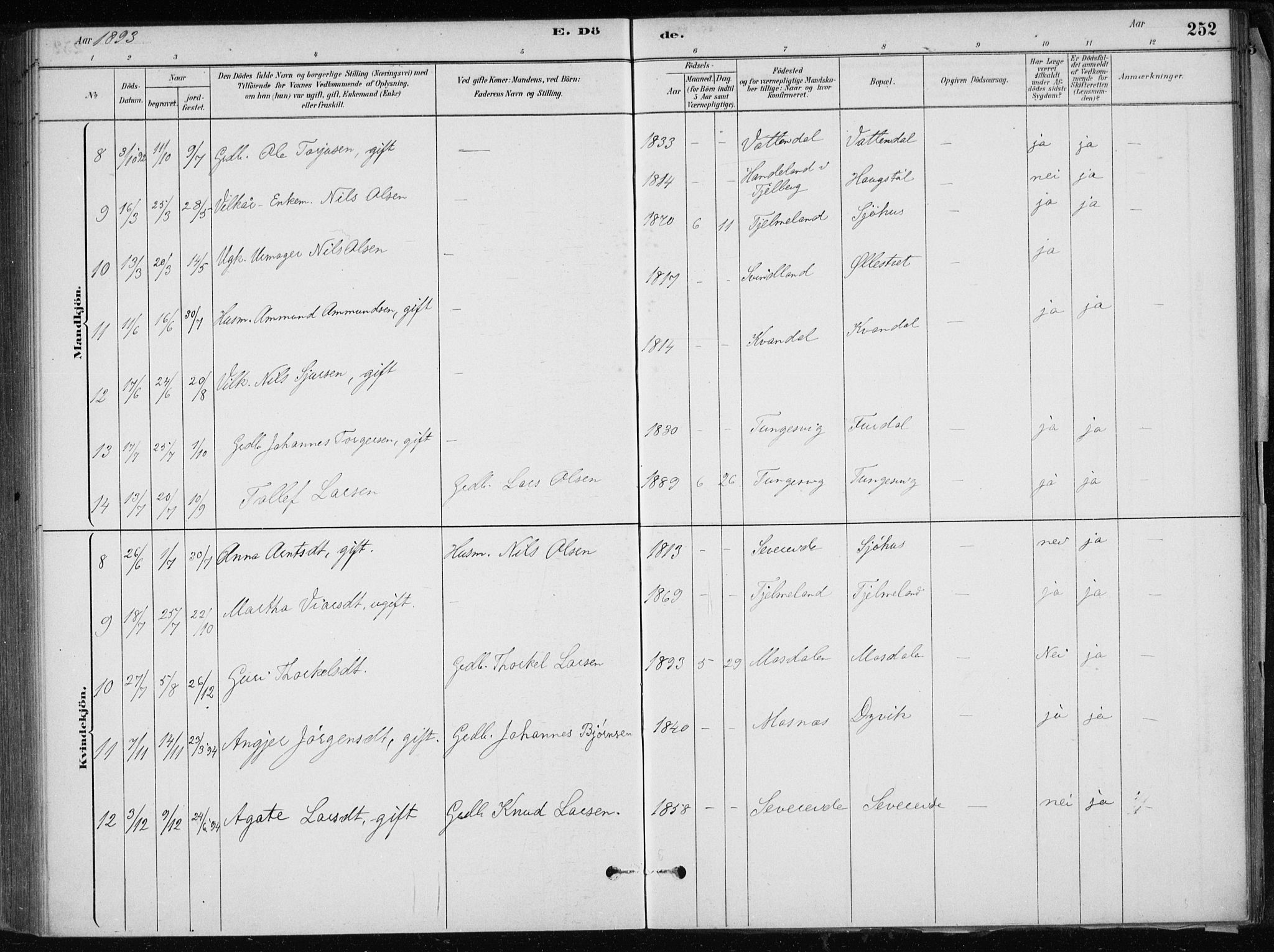 Skånevik sokneprestembete, AV/SAB-A-77801/H/Haa: Parish register (official) no. E  1, 1879-1901, p. 252