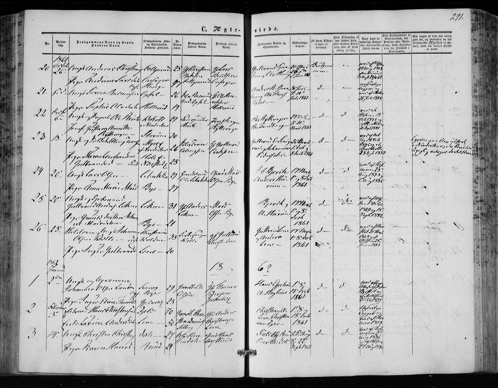 Hole kirkebøker, SAKO/A-228/F/Fa/L0006: Parish register (official) no. I 6, 1852-1872, p. 291