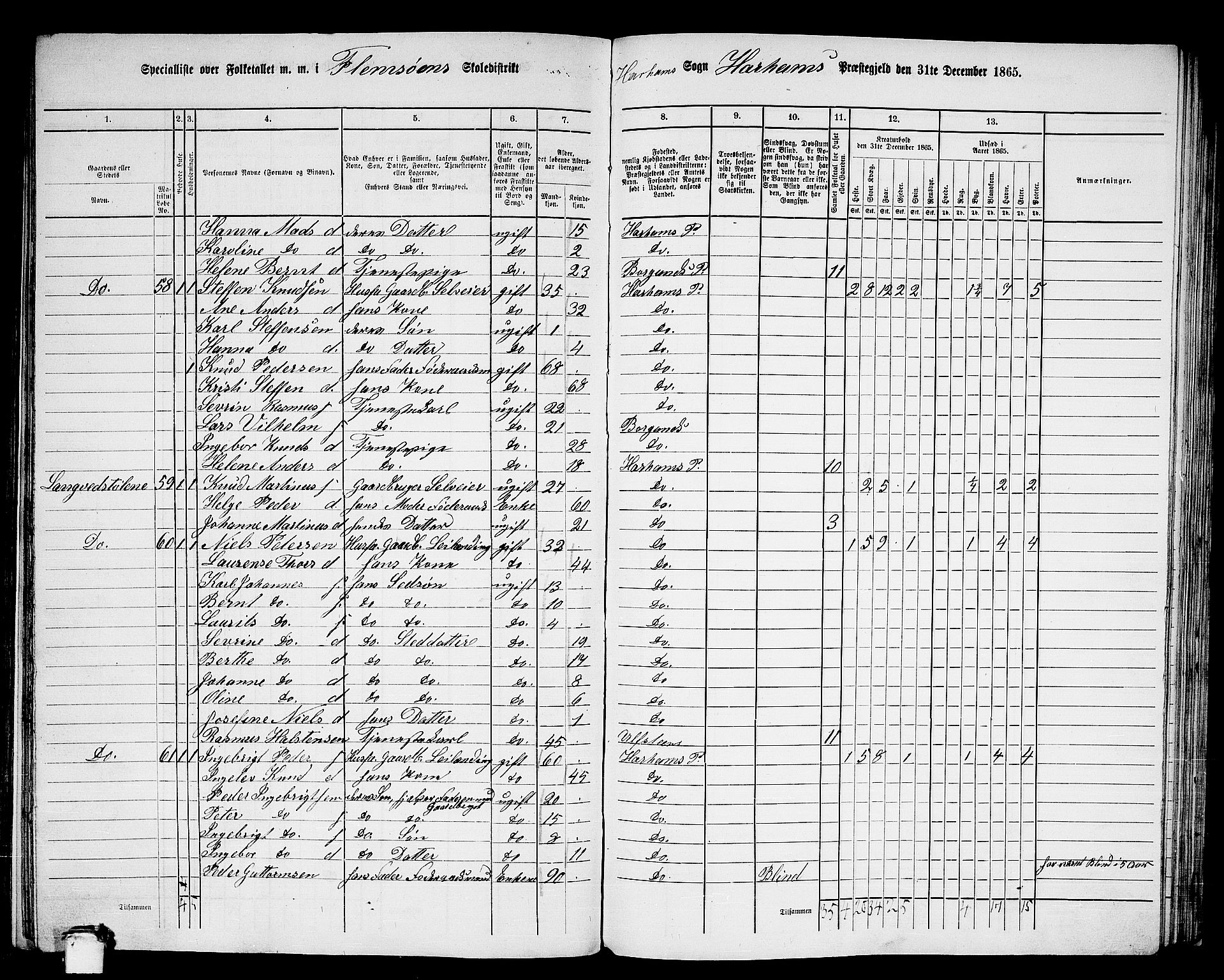 RA, 1865 census for Haram, 1865, p. 30