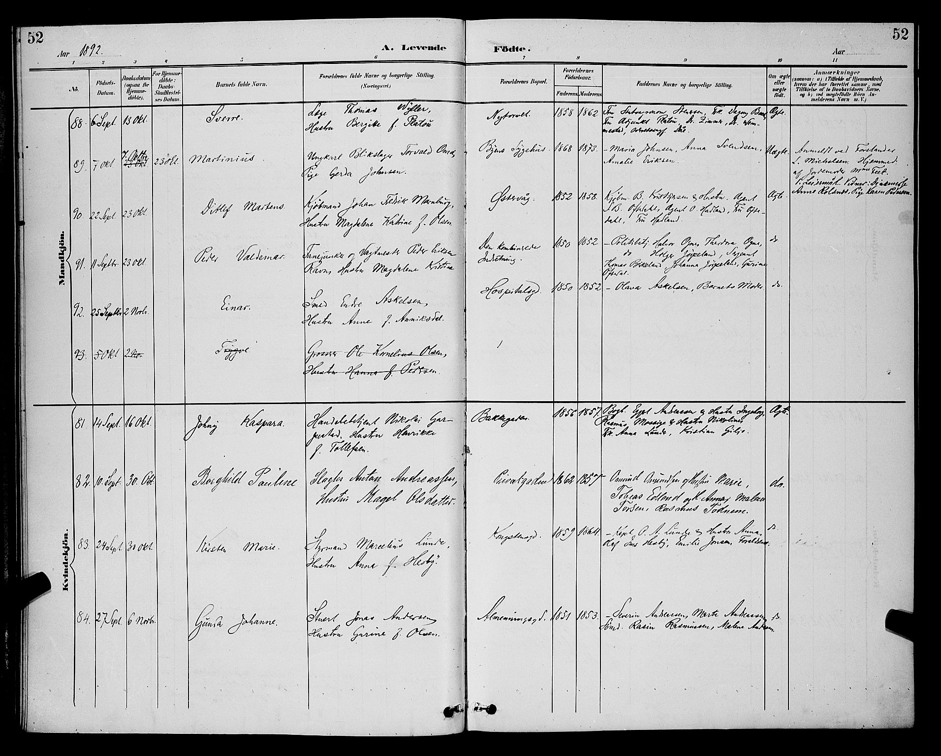 St. Petri sokneprestkontor, AV/SAST-A-101813/001/30/30BB/L0006: Parish register (copy) no. B 6, 1890-1897, p. 52