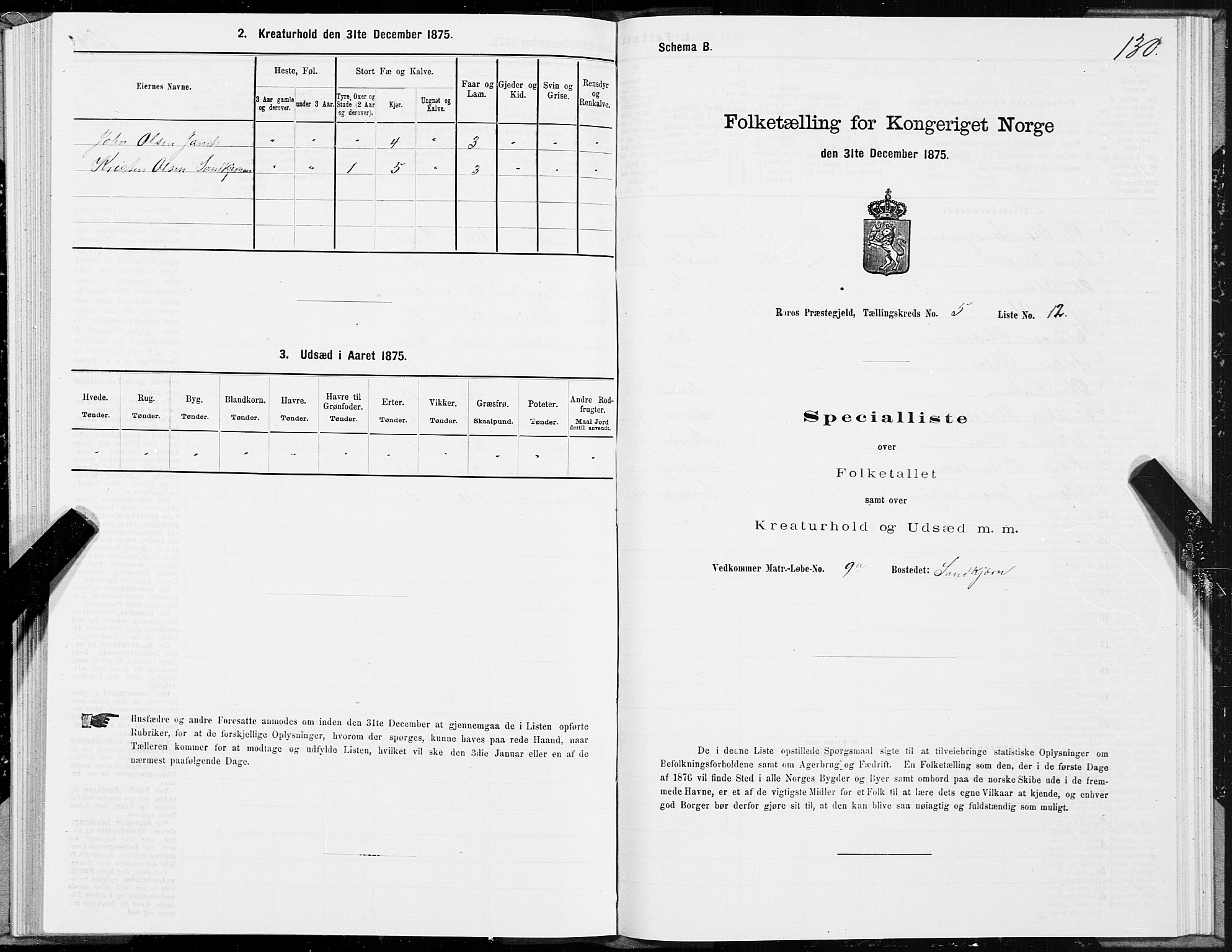 SAT, 1875 census for 1640P Røros, 1875, p. 3130