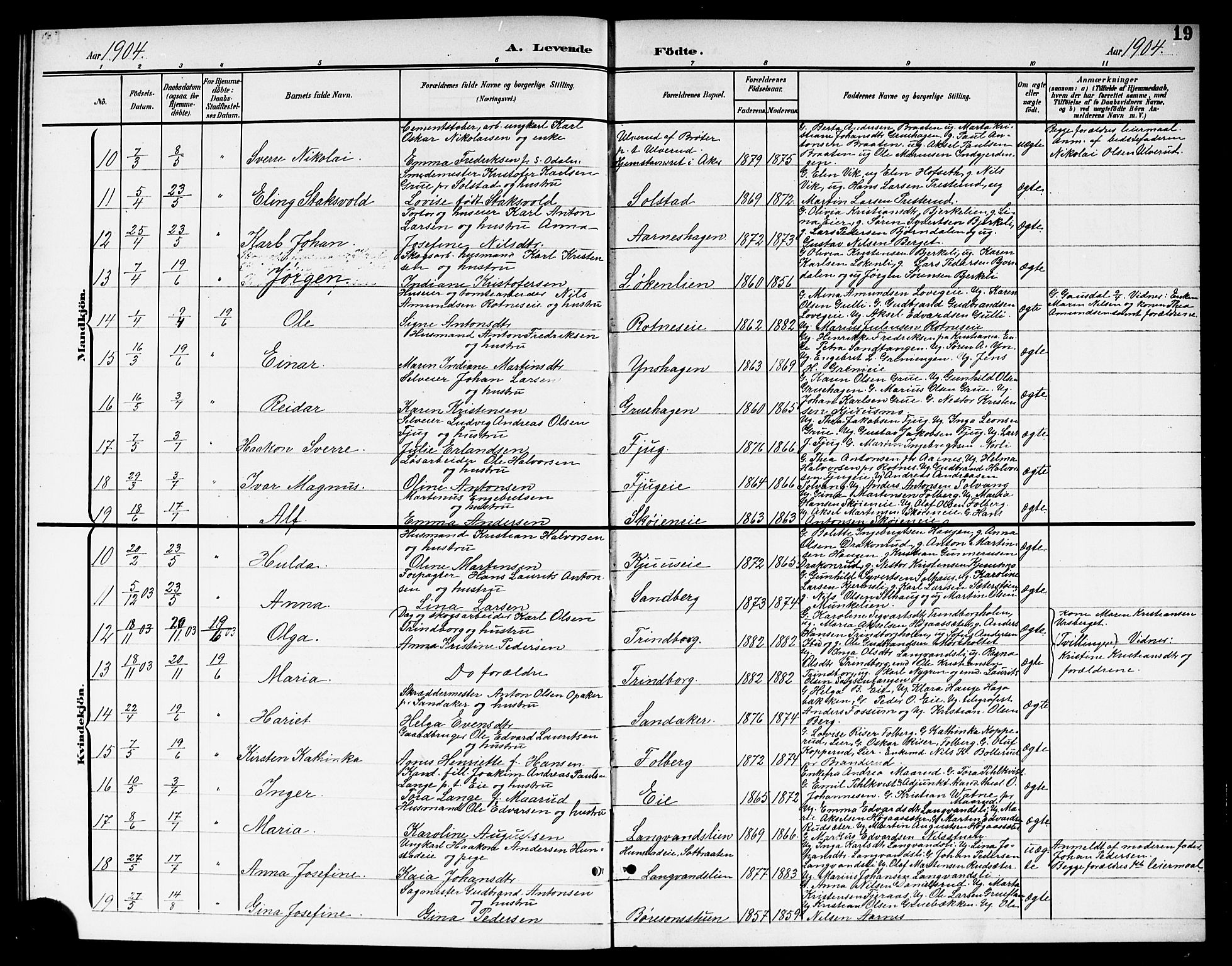 Nes prestekontor Kirkebøker, AV/SAO-A-10410/G/Gc/L0001: Parish register (copy) no. III 1, 1901-1917, p. 19