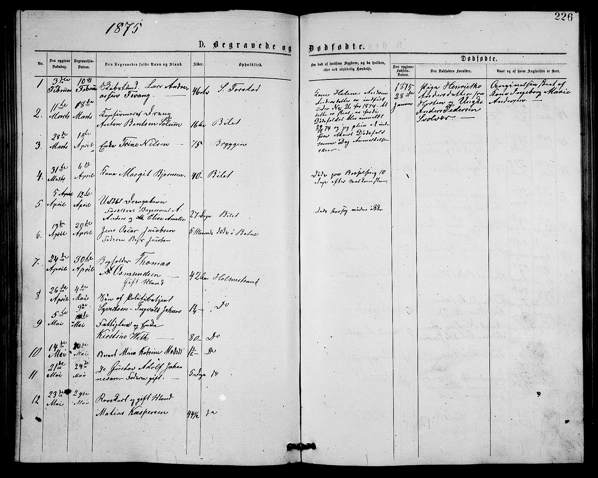 Holmestrand kirkebøker, SAKO/A-346/G/Ga/L0004: Parish register (copy) no. 4, 1874-1888, p. 226