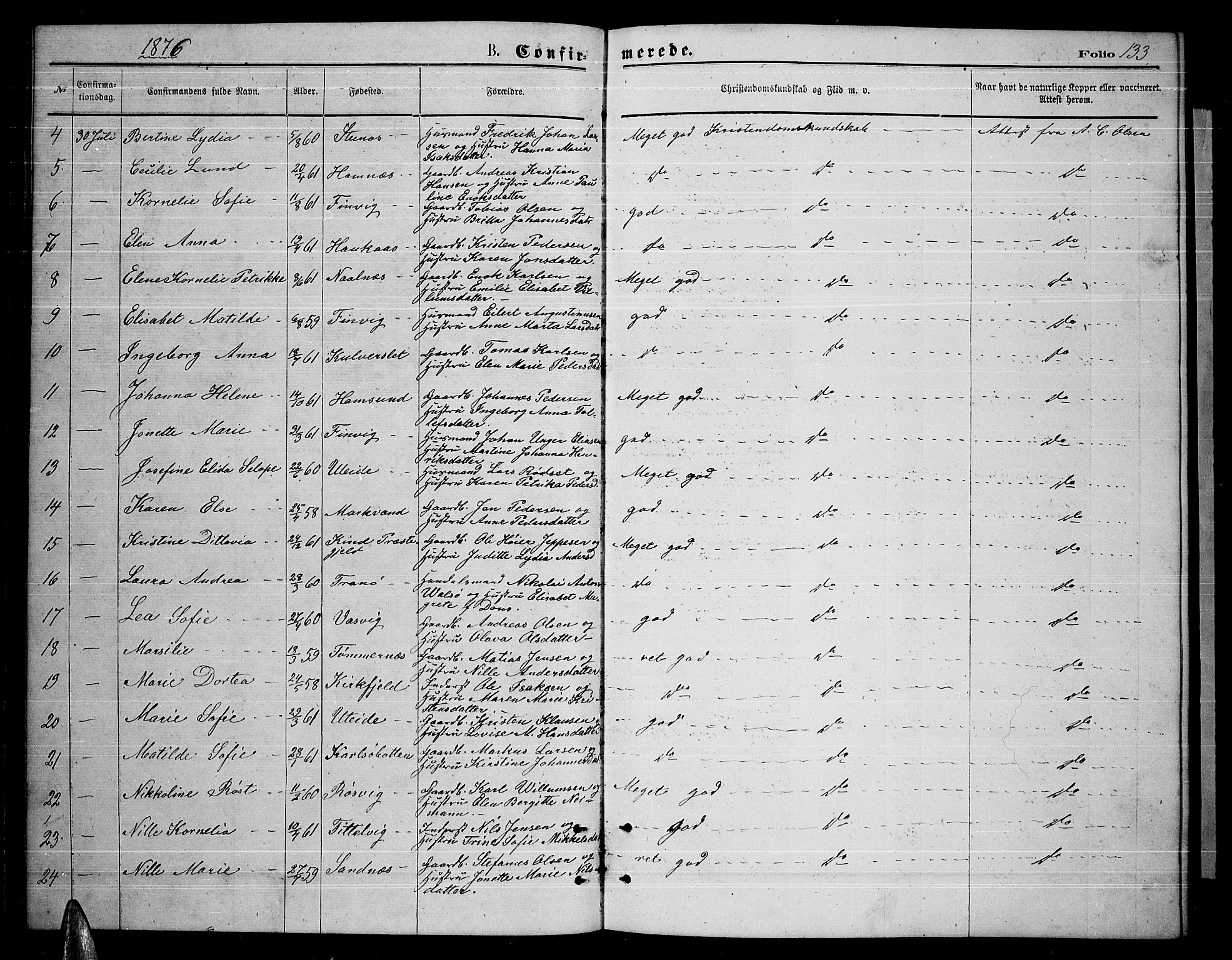 Ministerialprotokoller, klokkerbøker og fødselsregistre - Nordland, AV/SAT-A-1459/859/L0858: Parish register (copy) no. 859C04, 1873-1886, p. 133