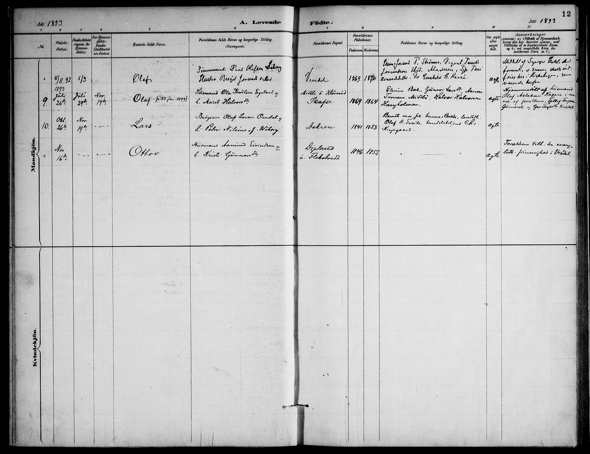Lårdal kirkebøker, SAKO/A-284/F/Fa/L0007: Parish register (official) no. I 7, 1887-1906, p. 12