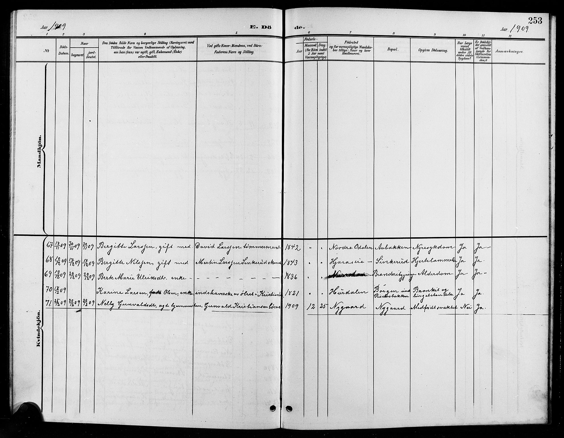 Eidsvoll prestekontor Kirkebøker, AV/SAO-A-10888/G/Ga/L0007: Parish register (copy) no. I 7, 1901-1909, p. 253