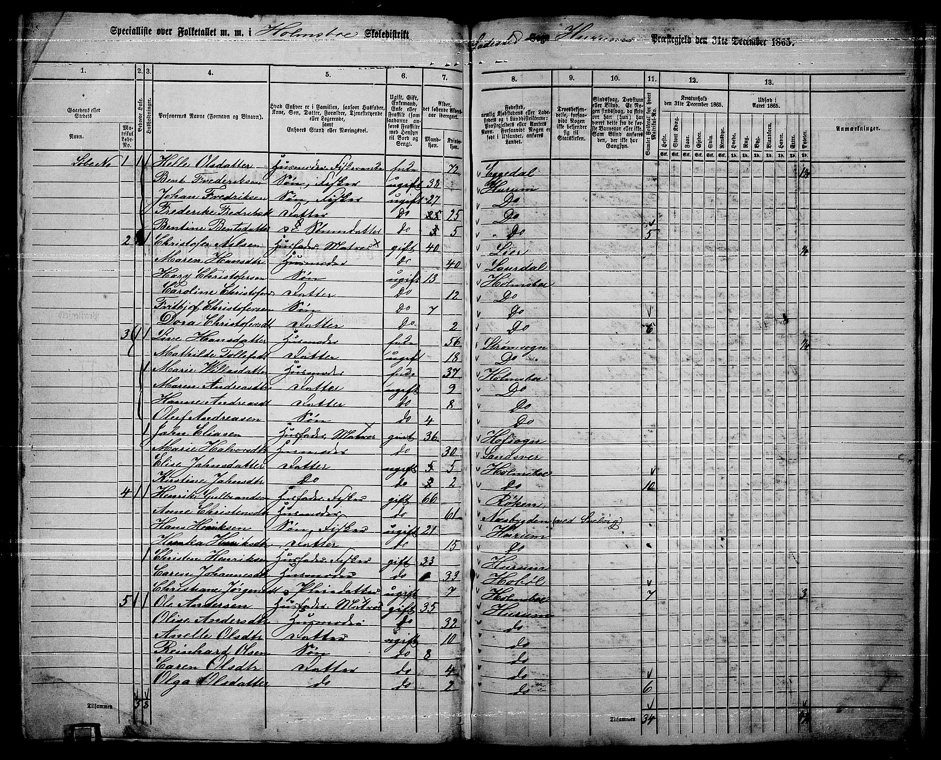 RA, 1865 census for Hurum, 1865, p. 107