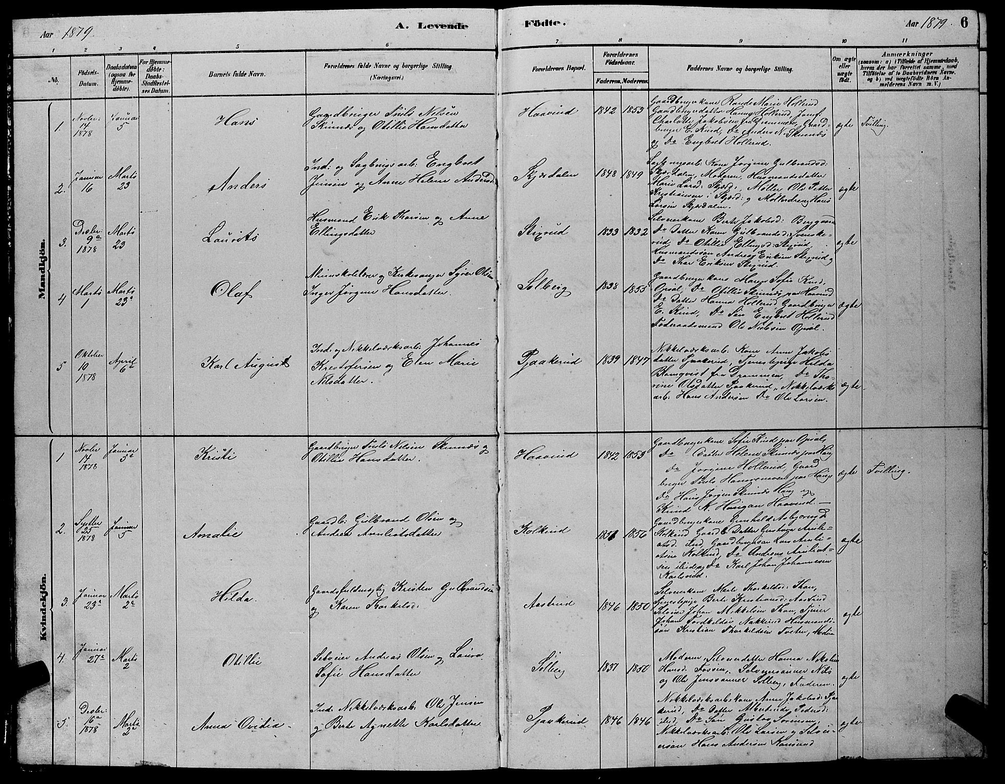 Hole kirkebøker, SAKO/A-228/G/Gb/L0002: Parish register (copy) no. II 2, 1878-1889, p. 6