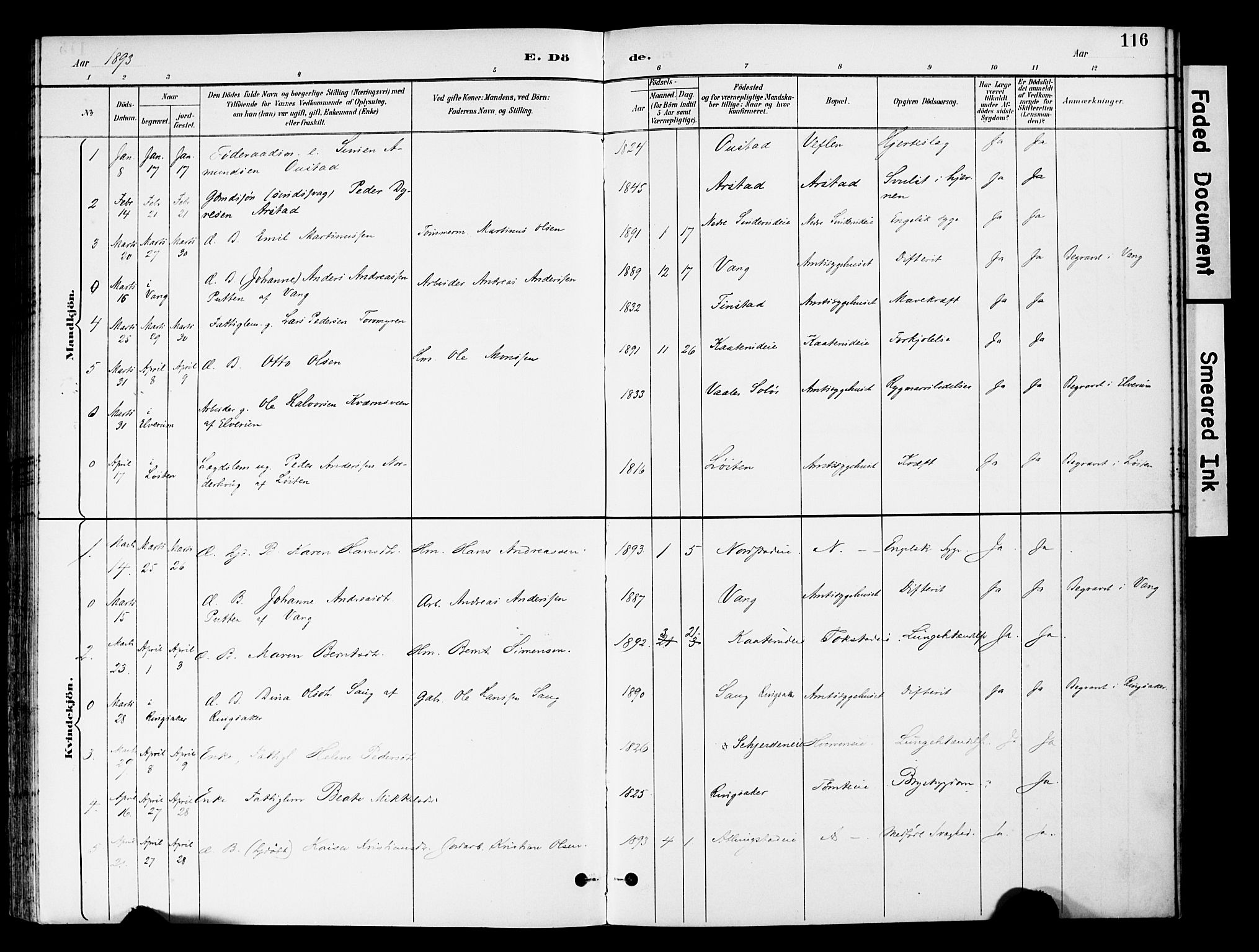 Stange prestekontor, SAH/PREST-002/K/L0021: Parish register (official) no. 21, 1891-1902, p. 116