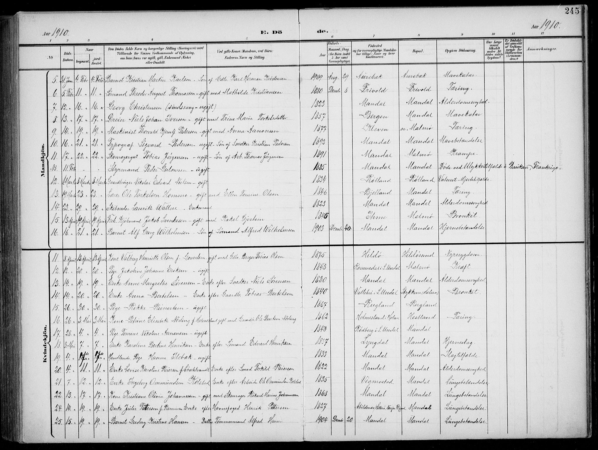 Mandal sokneprestkontor, SAK/1111-0030/F/Fb/Fba/L0012: Parish register (copy) no. B 6, 1899-1918, p. 245