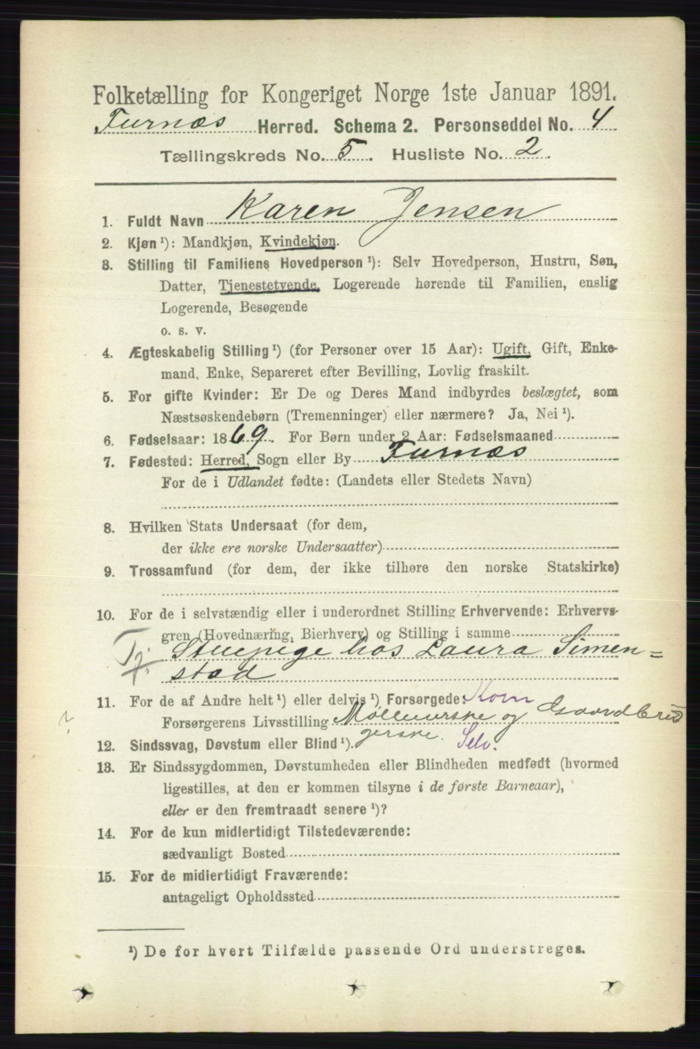 RA, Census 1891 for 0413 Furnes herred, 1891, p. 3164