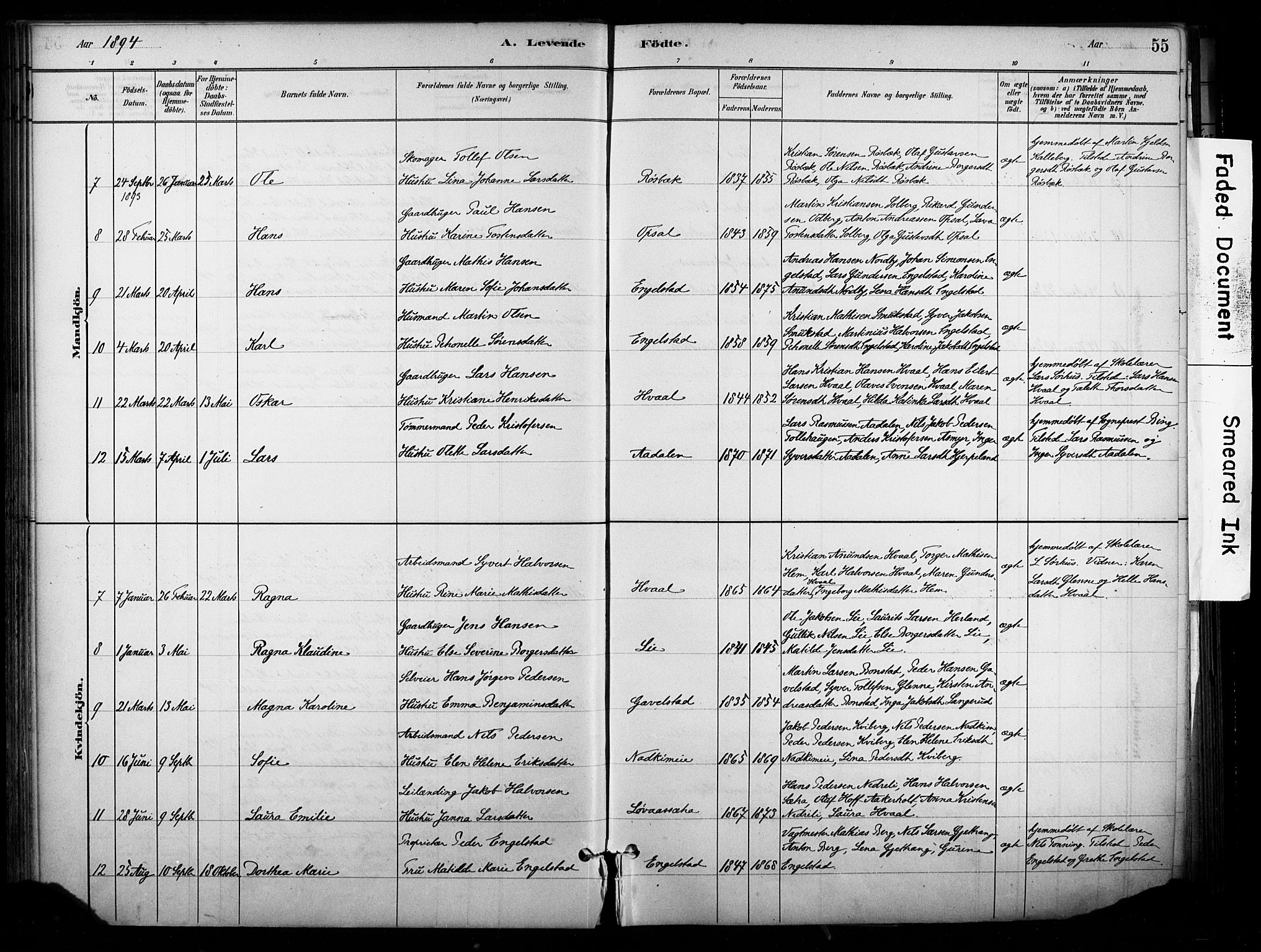 Lardal kirkebøker, AV/SAKO-A-350/F/Fb/L0001: Parish register (official) no. II 1, 1881-1911, p. 55