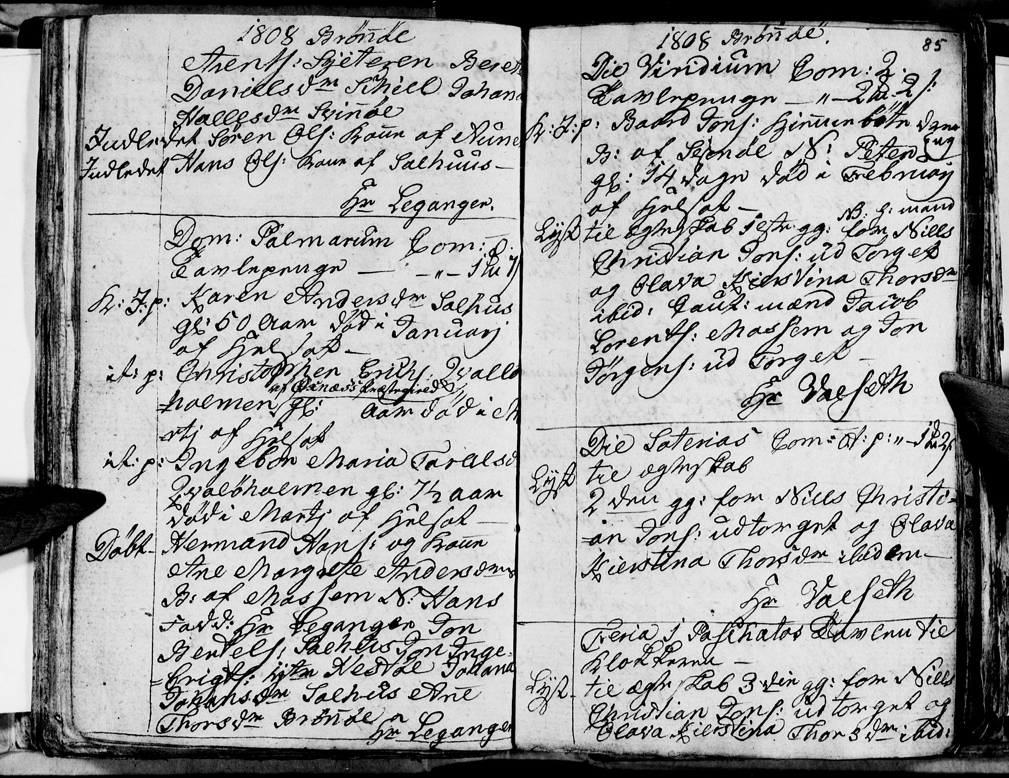 Ministerialprotokoller, klokkerbøker og fødselsregistre - Nordland, AV/SAT-A-1459/813/L0209: Parish register (copy) no. 813C01, 1803-1821, p. 85