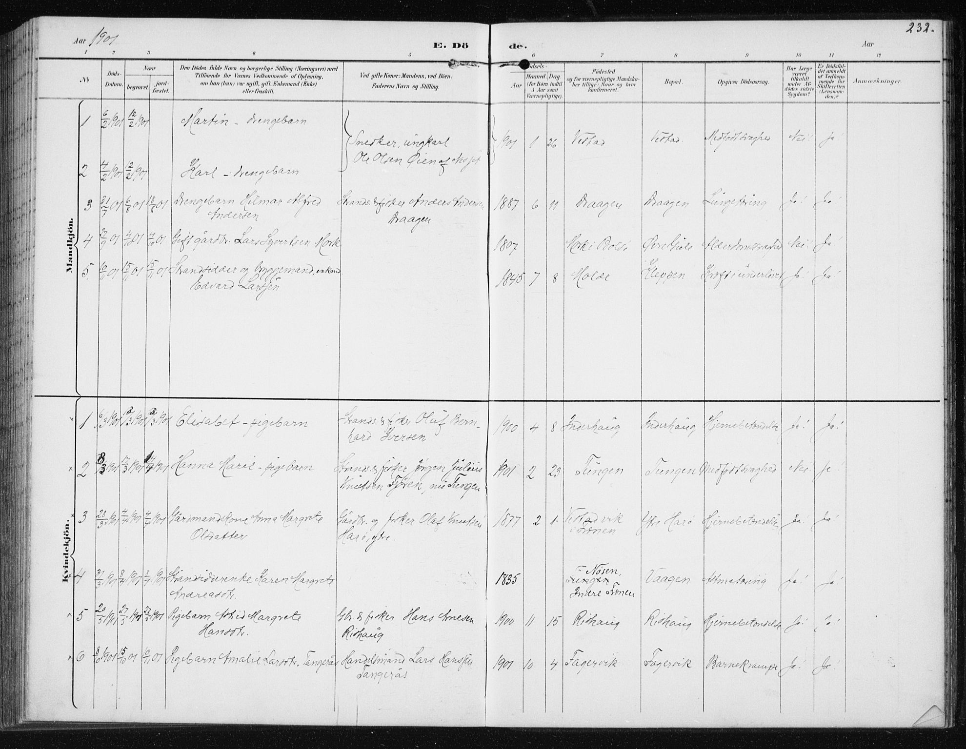 Ministerialprotokoller, klokkerbøker og fødselsregistre - Møre og Romsdal, AV/SAT-A-1454/566/L0773: Parish register (copy) no. 566C02, 1892-1909, p. 232